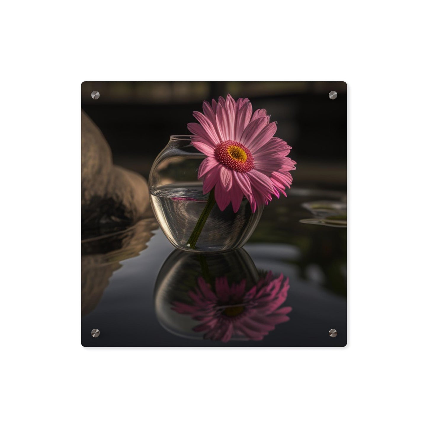 Acrylic Wall Art Panels Pink Daisy 2