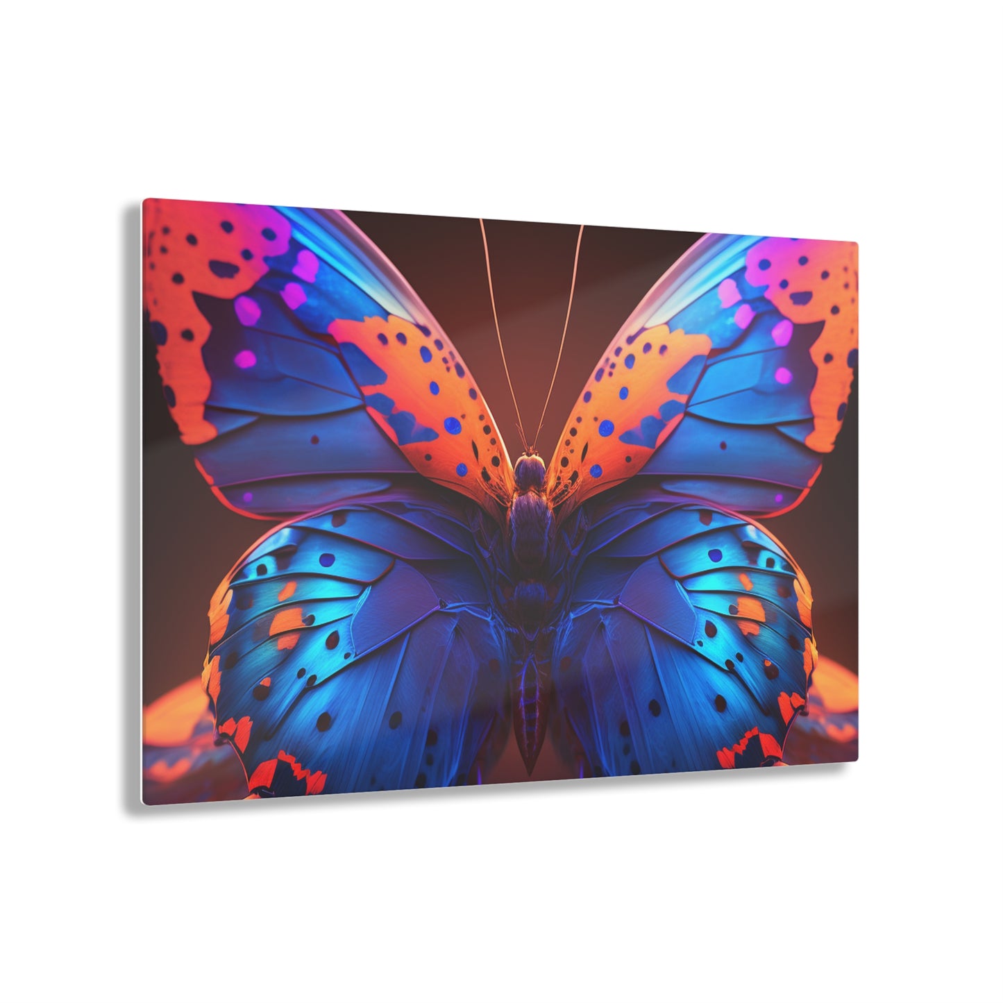 Acrylic Prints Neon Butterfly Macro 3