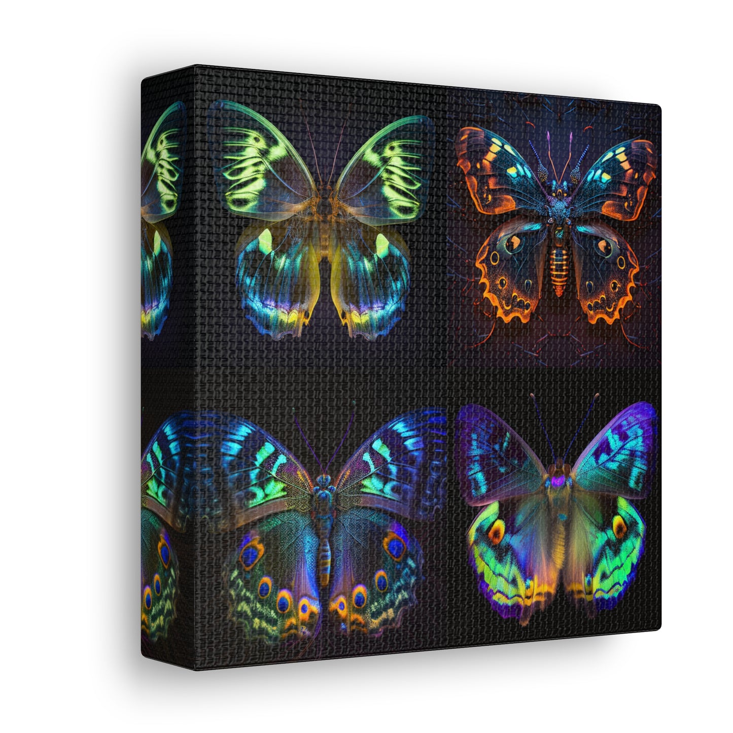 Canvas Gallery Wraps Neon Hue Butterfly 5