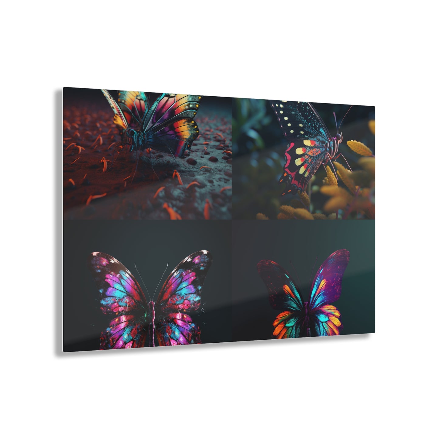 Acrylic Prints Hyper Colorful Butterfly Macro 5