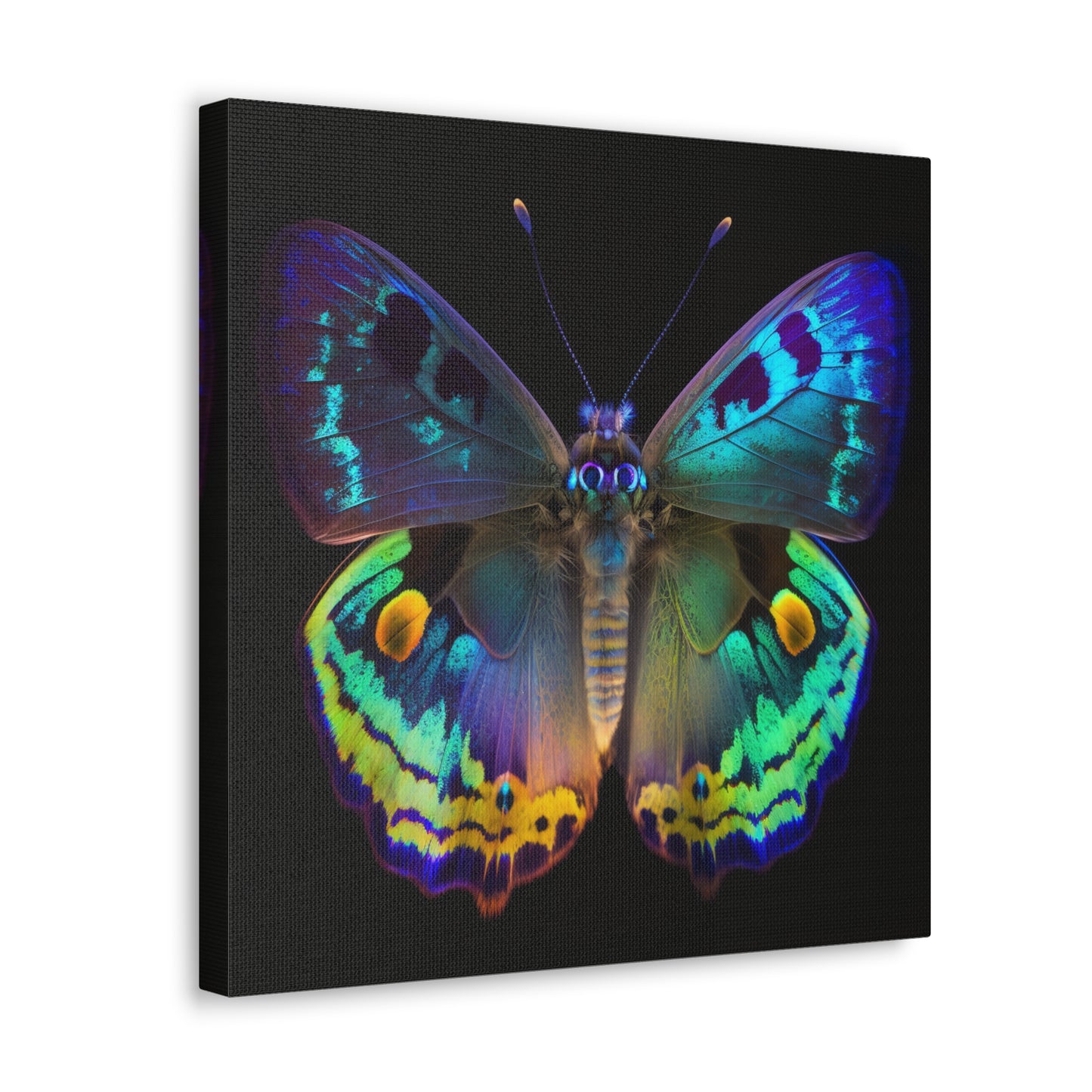 Canvas Gallery Wraps Neon Hue Butterfly 4