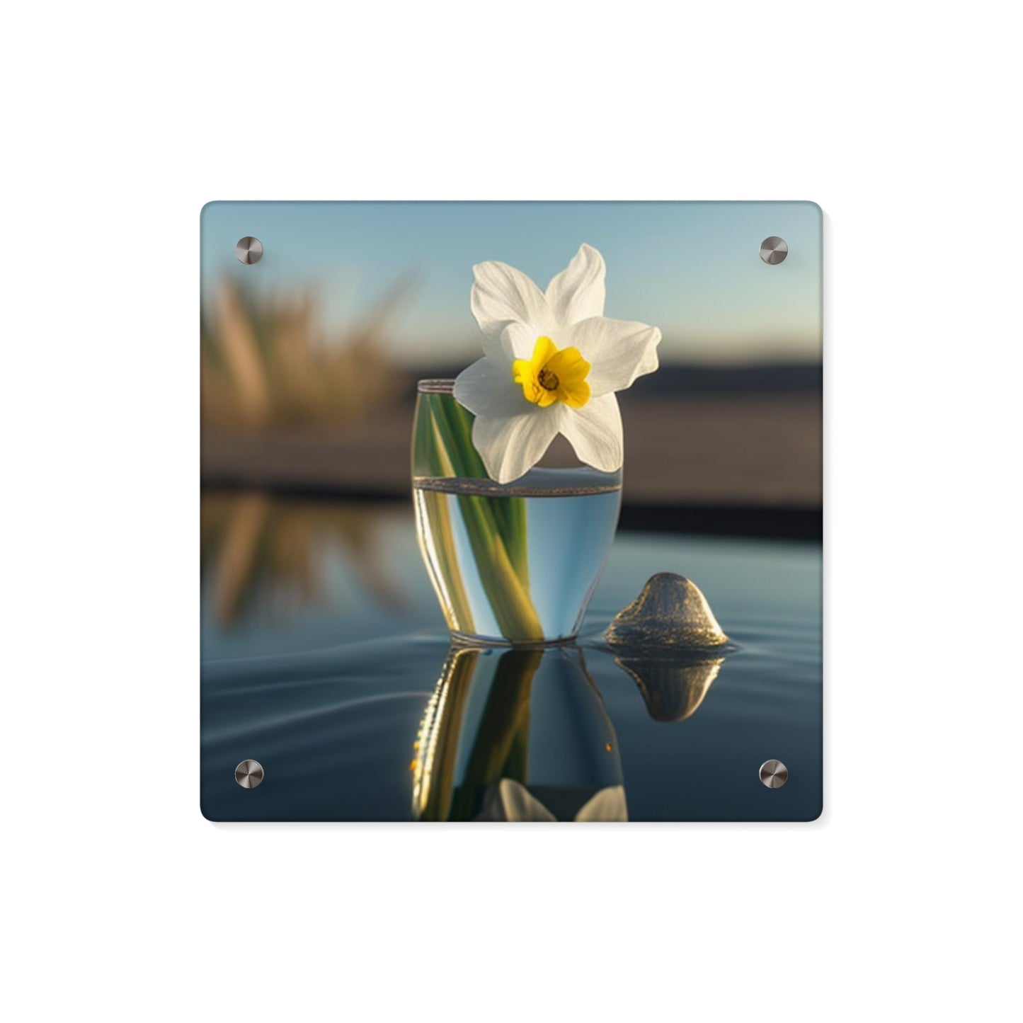 Acrylic Wall Art Panels Daffodil 4