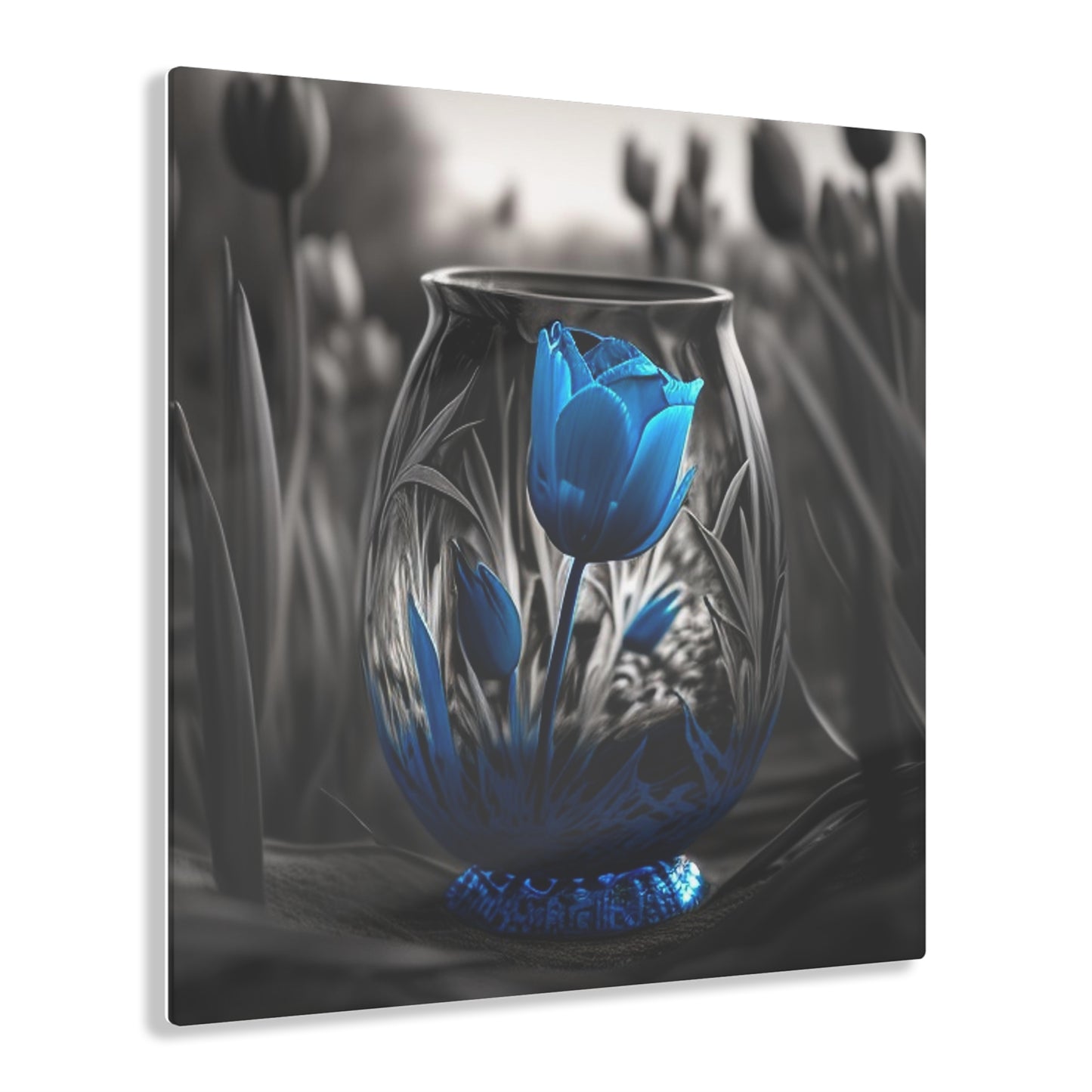 Acrylic Prints Tulip Blue 3