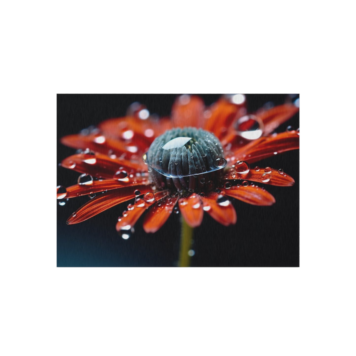 Outdoor Rug  Water drop Macro Flower 1