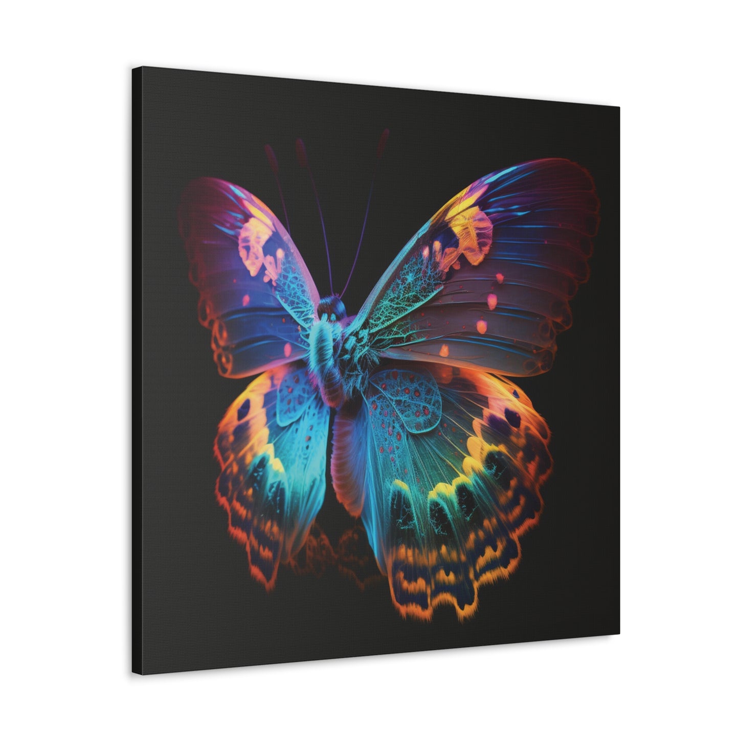 Canvas Gallery Wraps Raw Hyper Color Butterfly 4