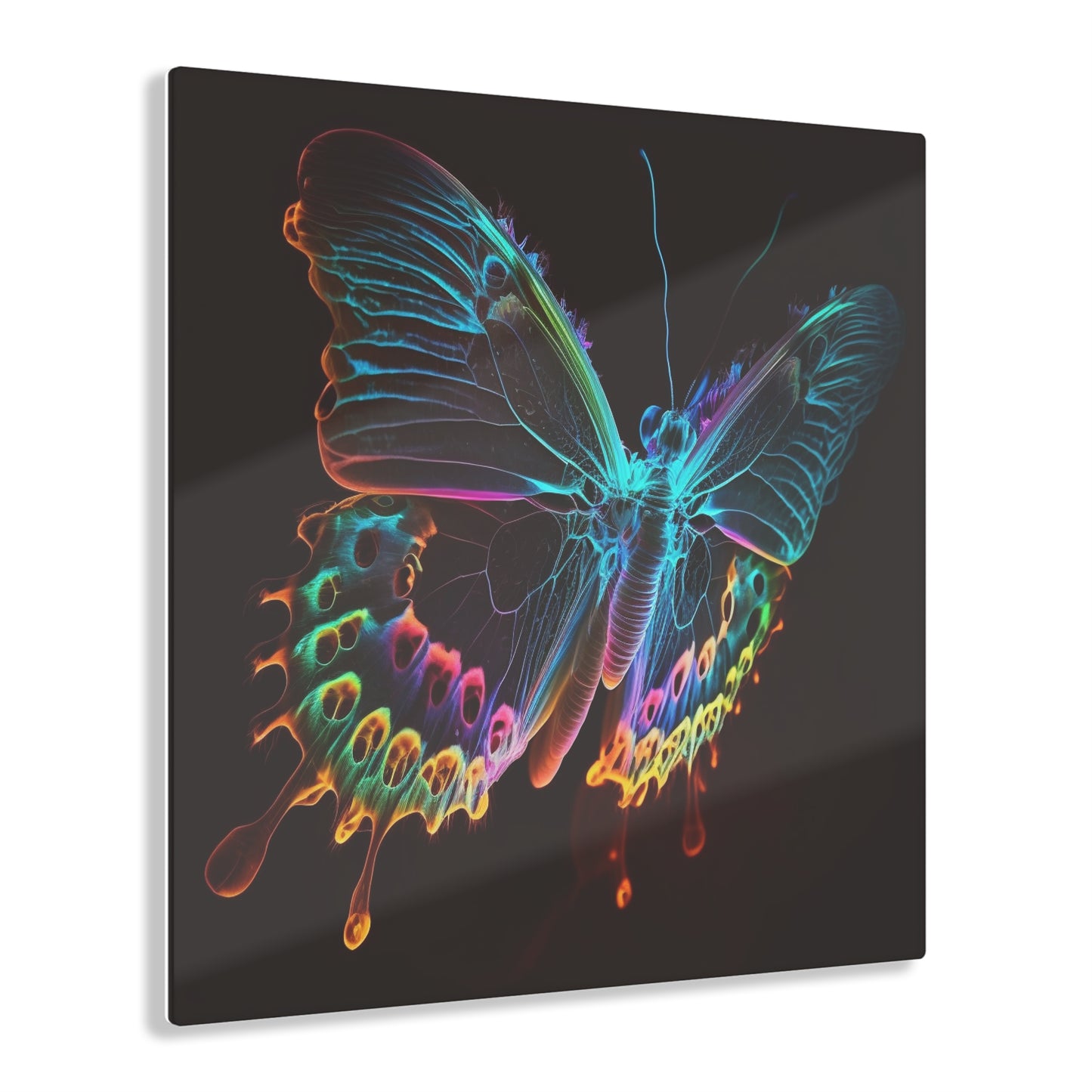 Acrylic Prints Thermal Butterfly 2