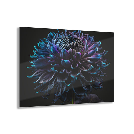 Acrylic Prints Dahlia Purple 3