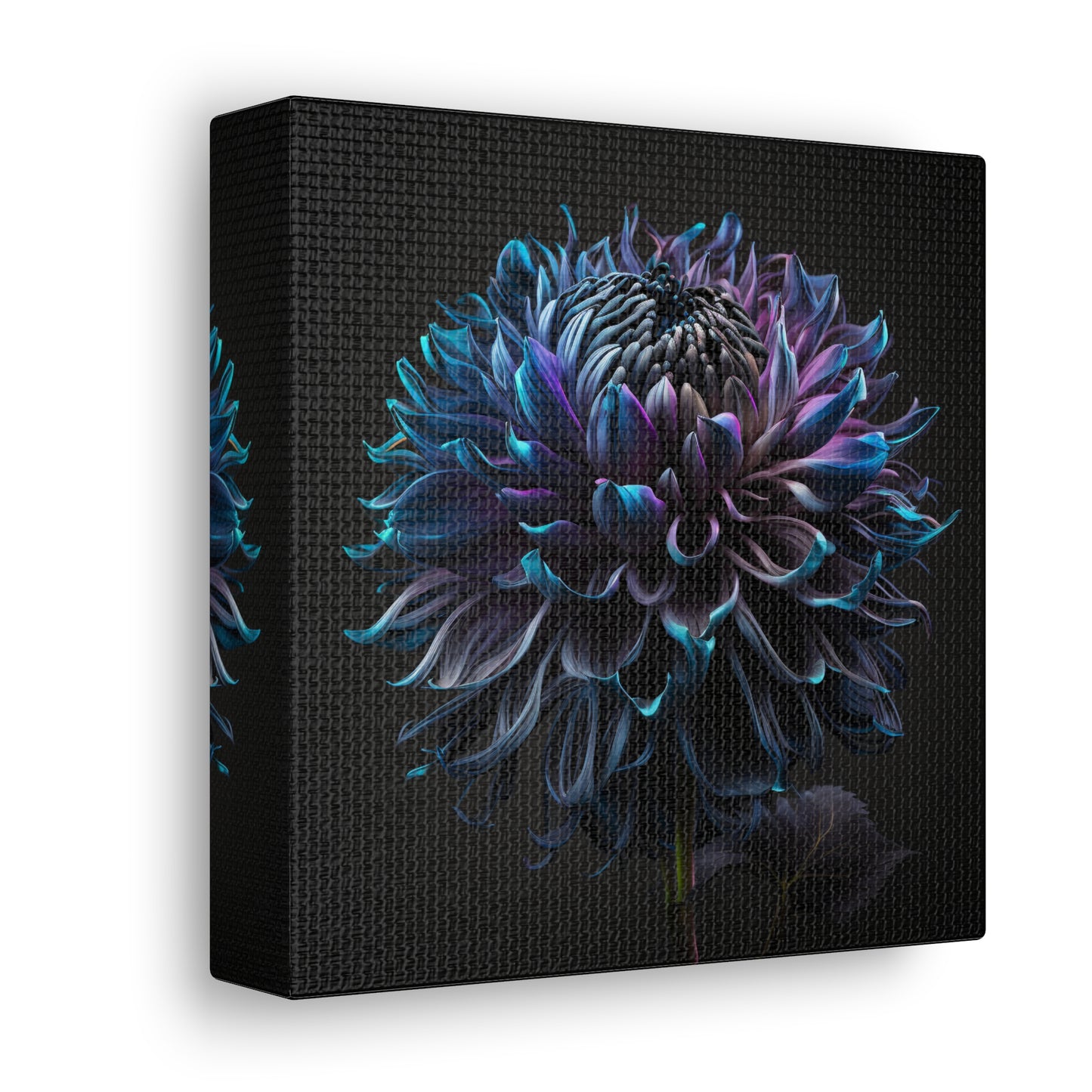 Canvas Gallery Wraps Dahlia Purple 3