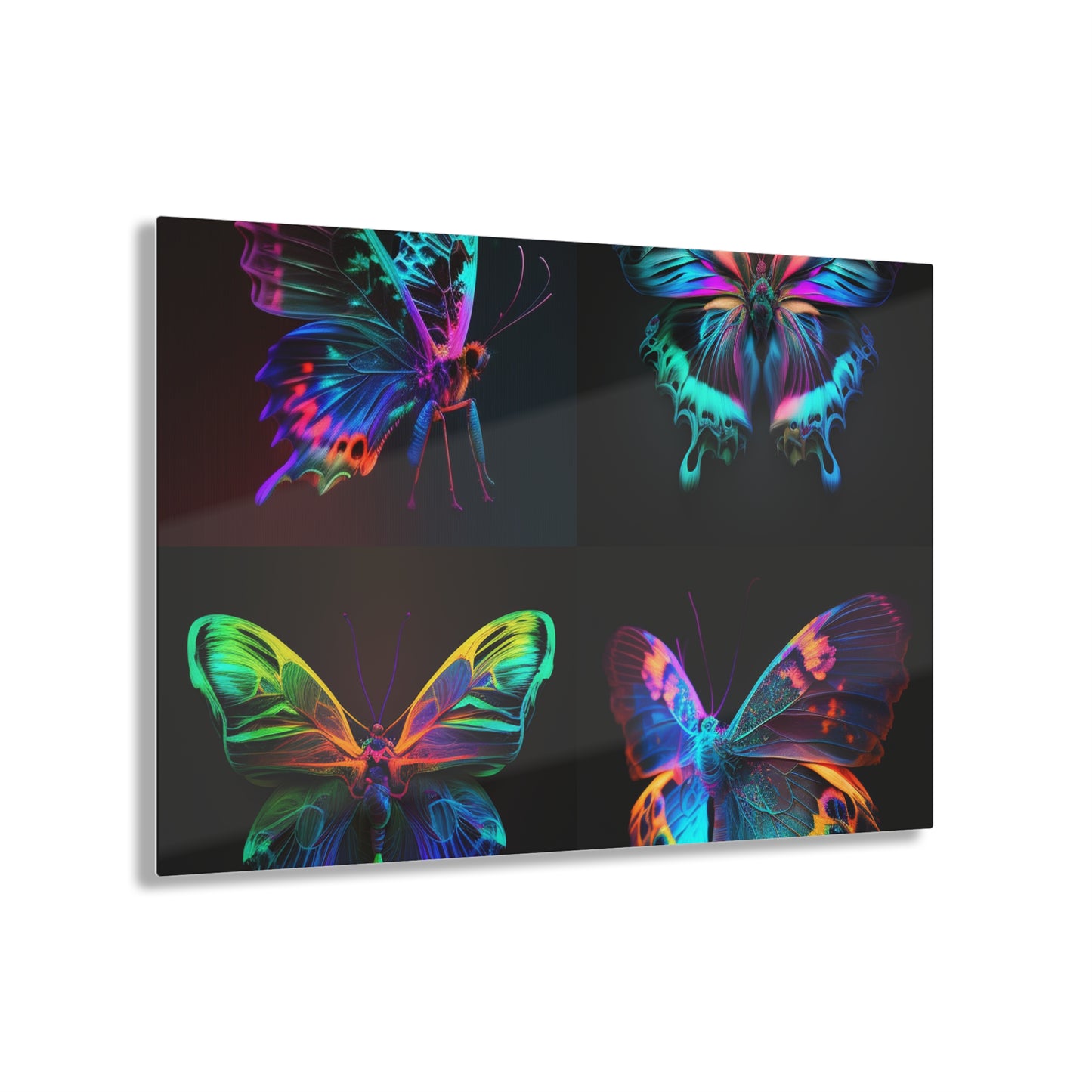 Acrylic Prints Raw Hyper Color Butterfly 5