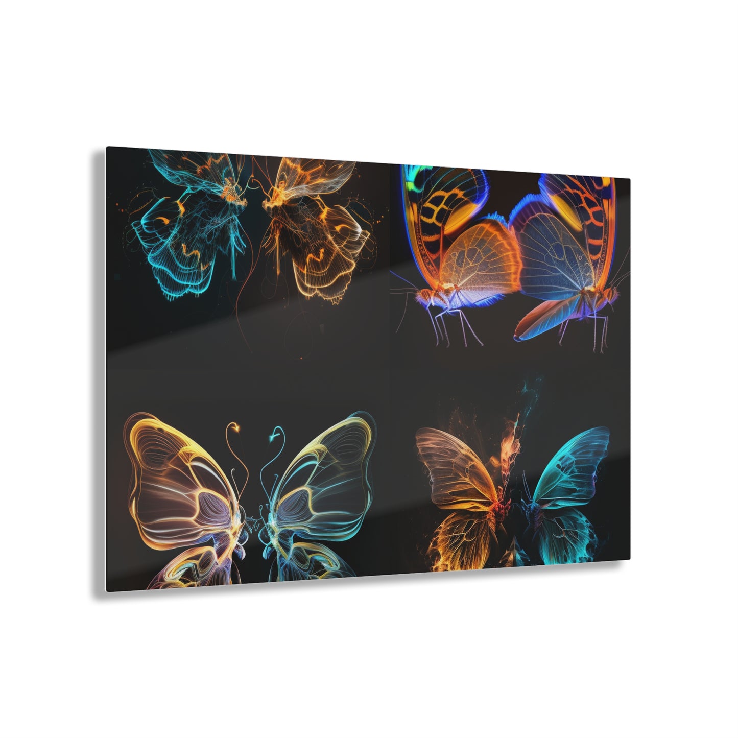 Acrylic Prints Neon Glo Butterfly 5