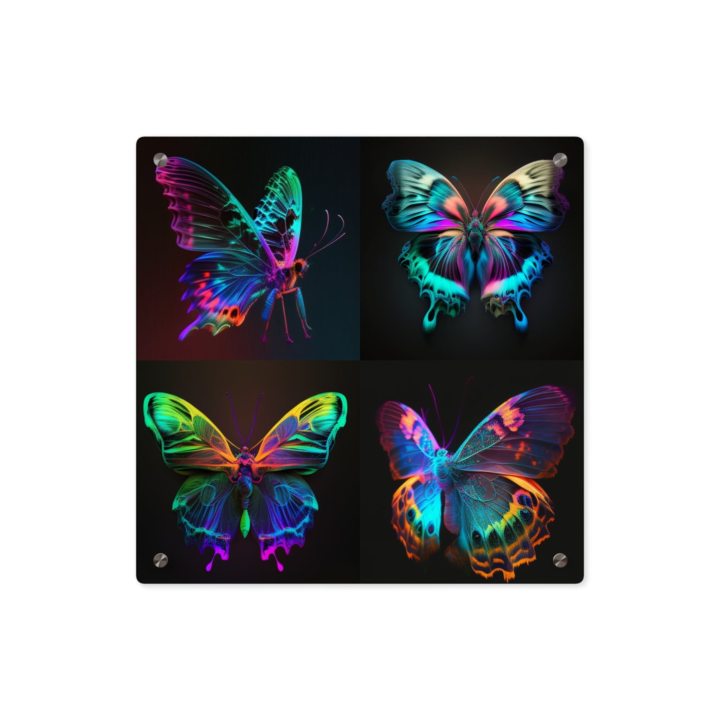 Acrylic Wall Art Panels Raw Hyper Color Butterfly 5