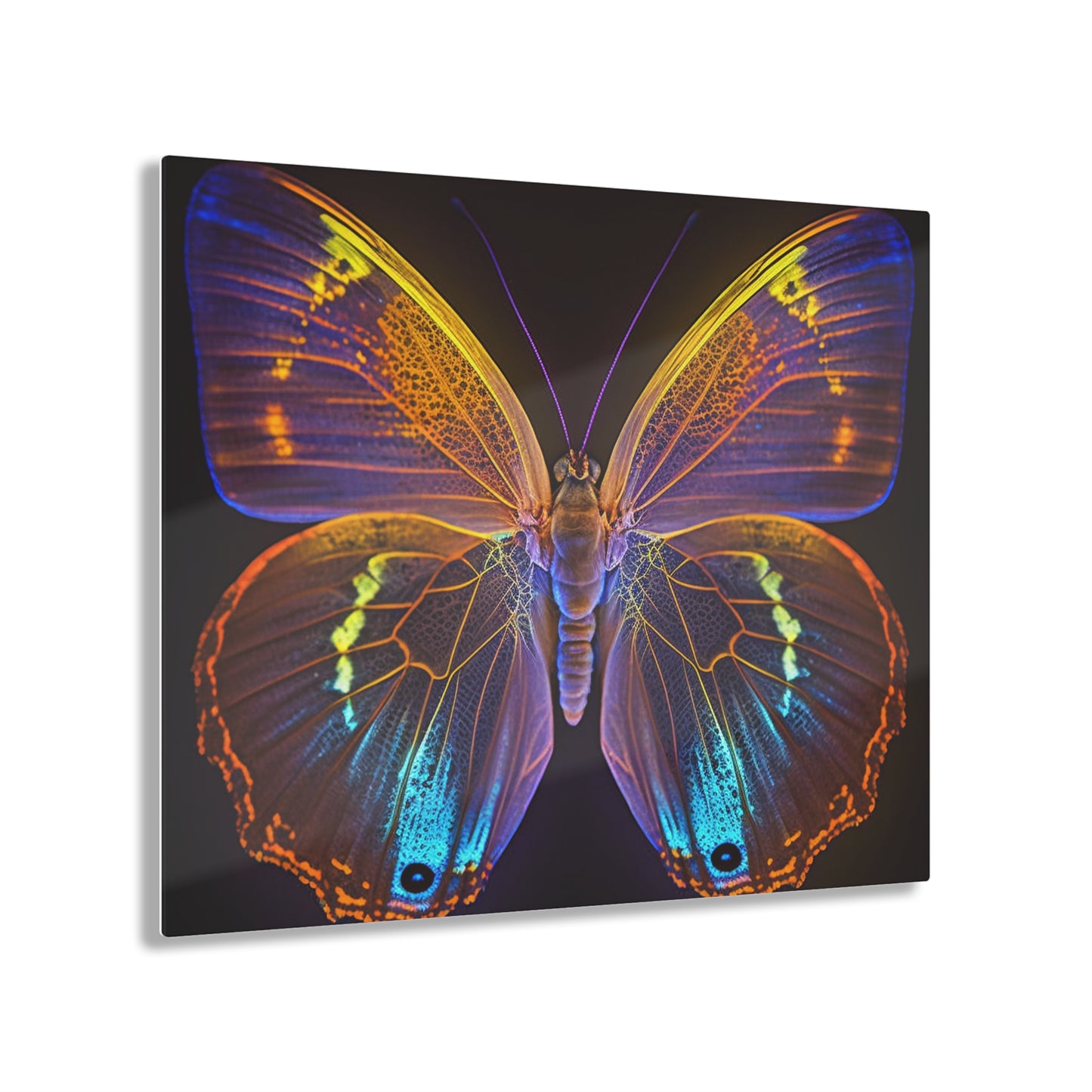 Acrylic Prints Neon Butterfly Flair 2