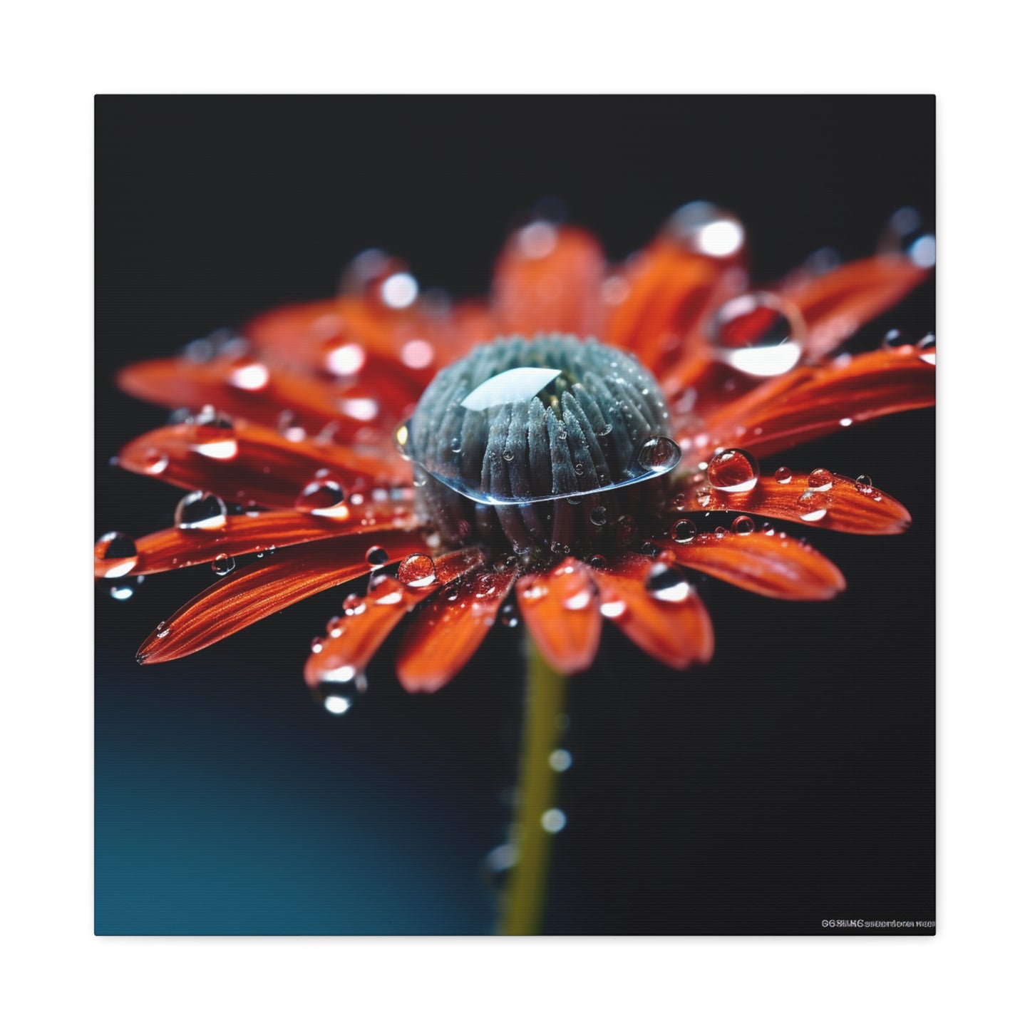 Canvas Gallery Wraps Water drop Macro Flower 1