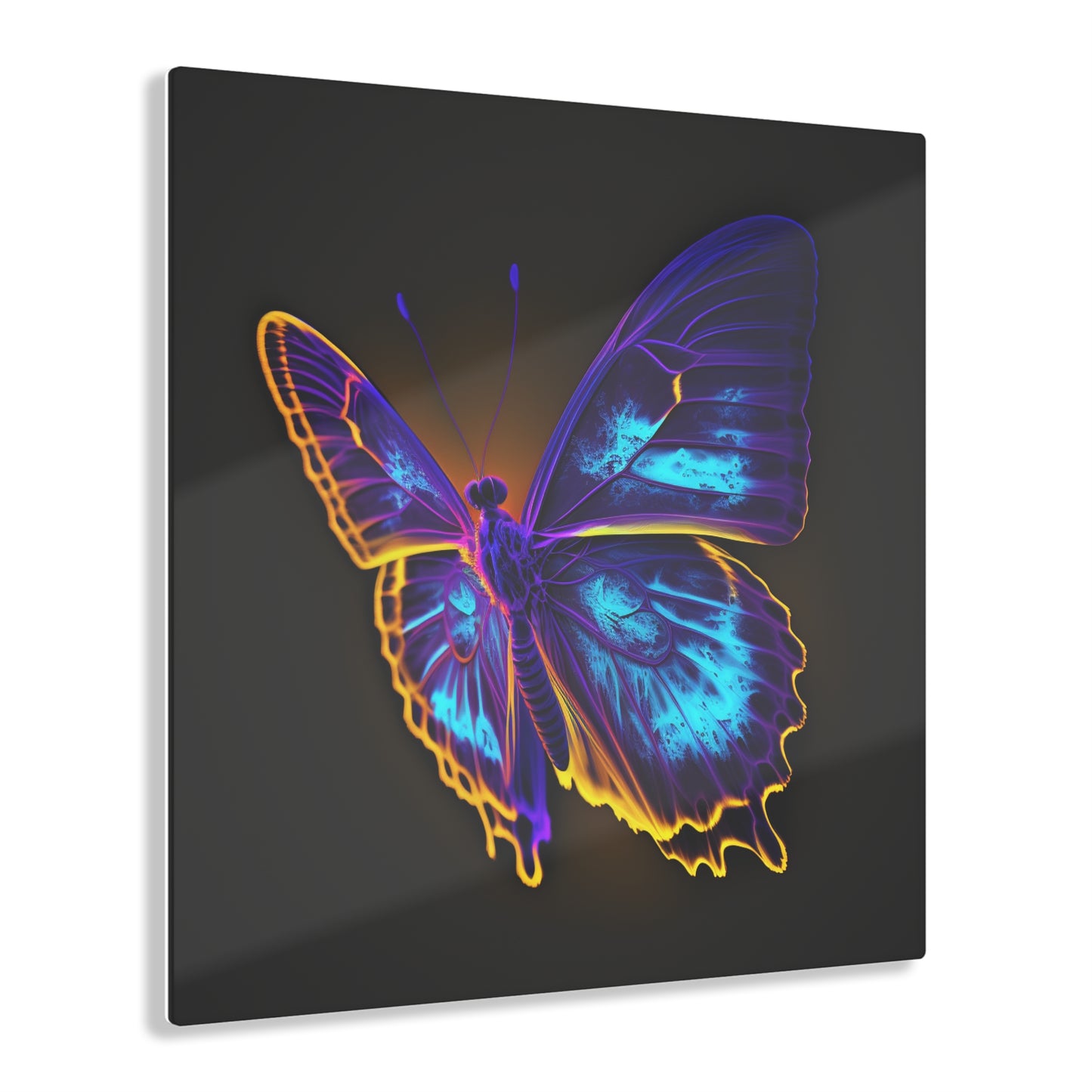 Acrylic Prints Thermal Butterfly 4