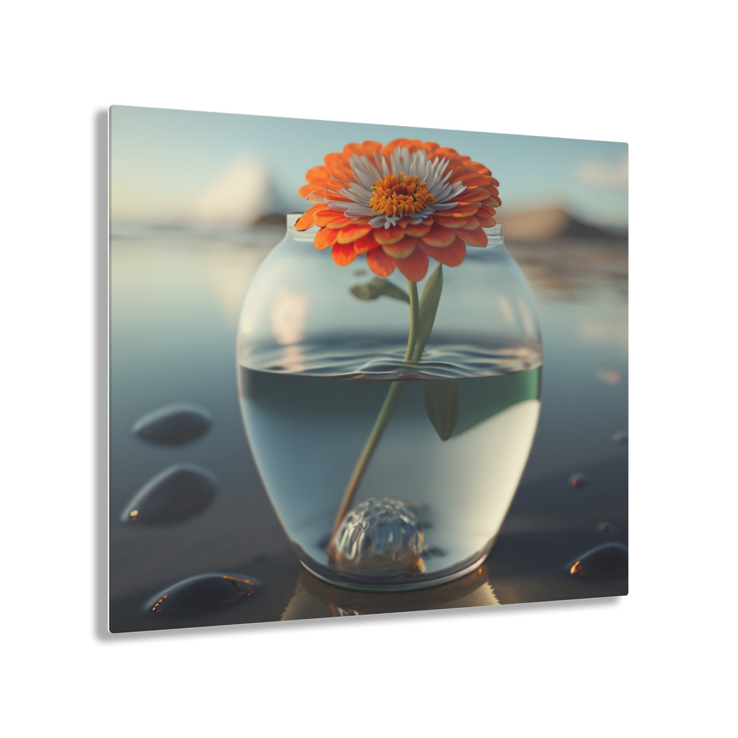 Acrylic Prints Orange Zinnia 3