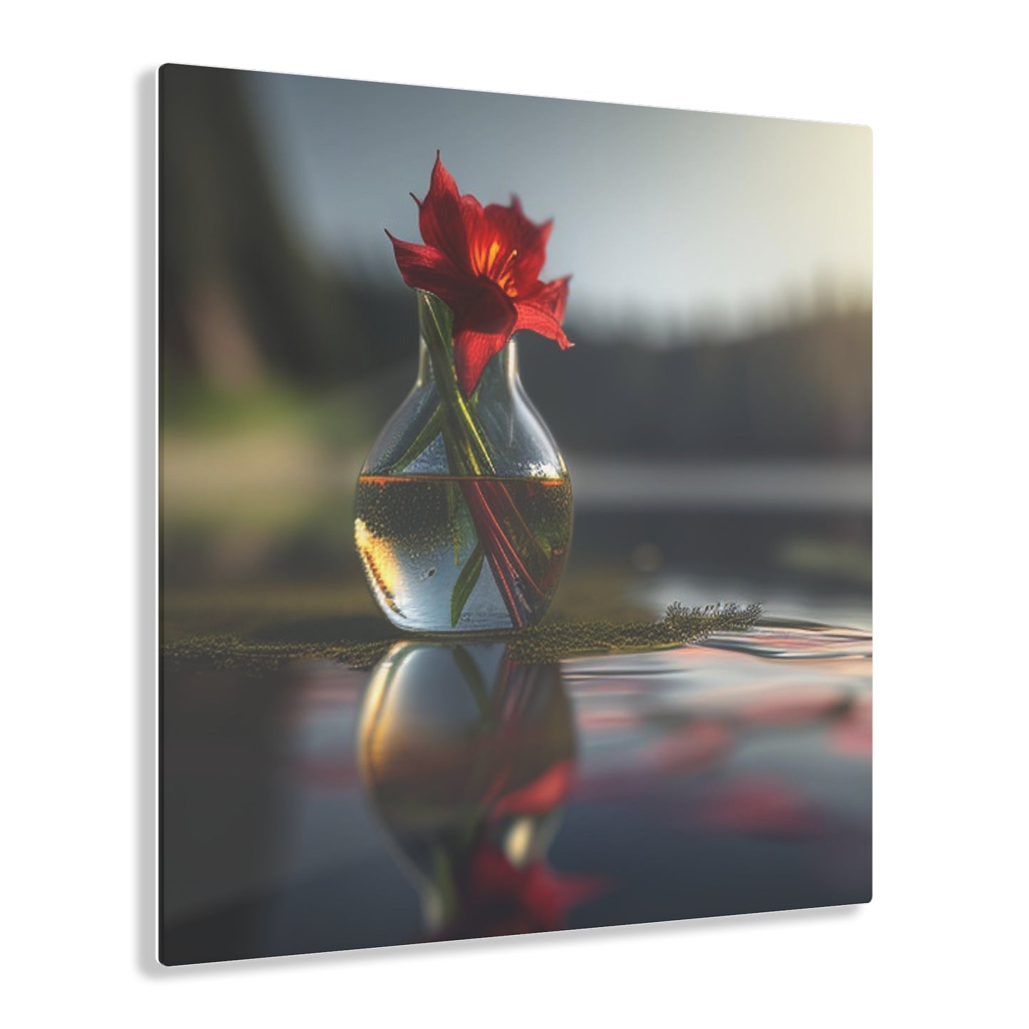 Acrylic Prints Red Lily in a Glass vase 3