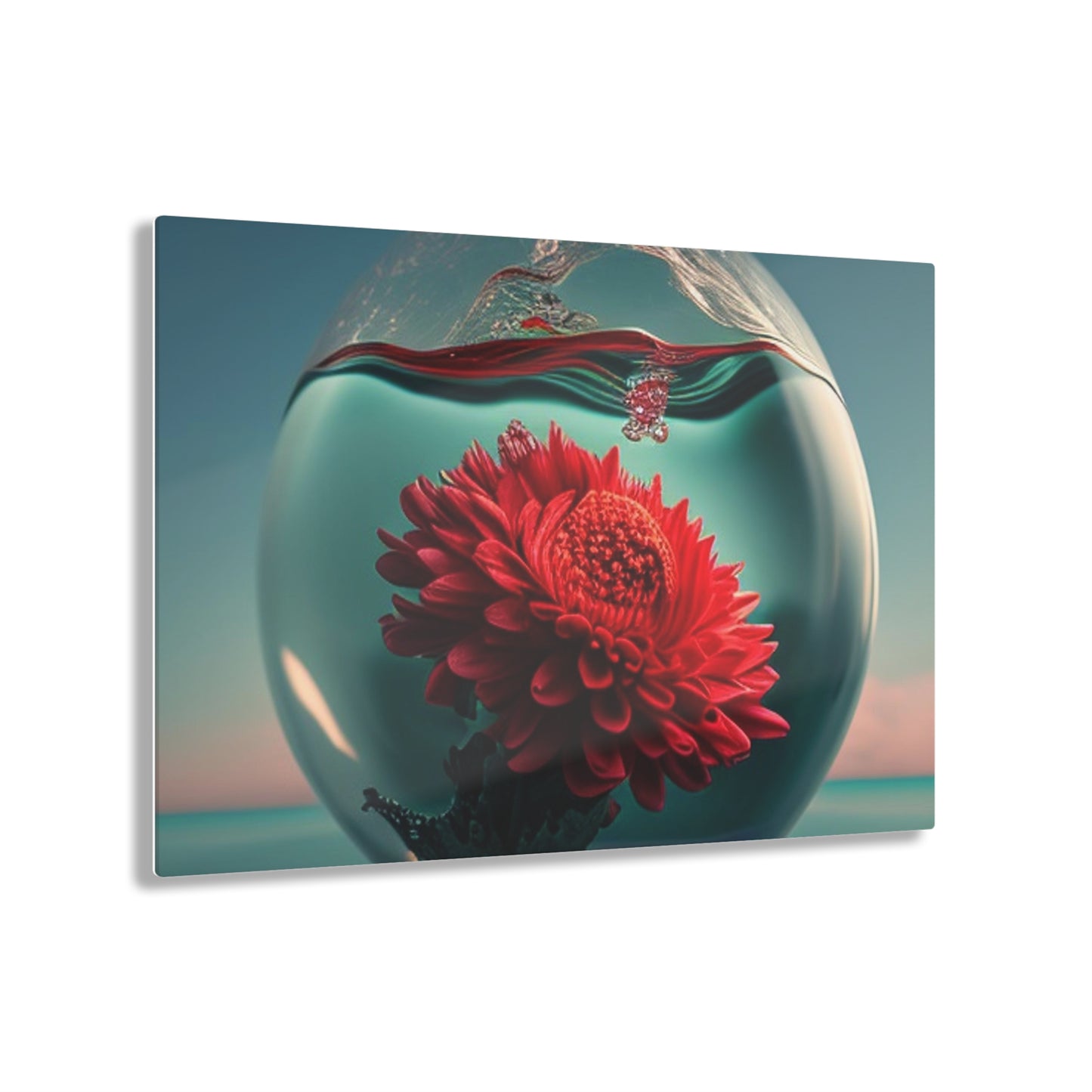 Acrylic Prints Chrysanthemum 4