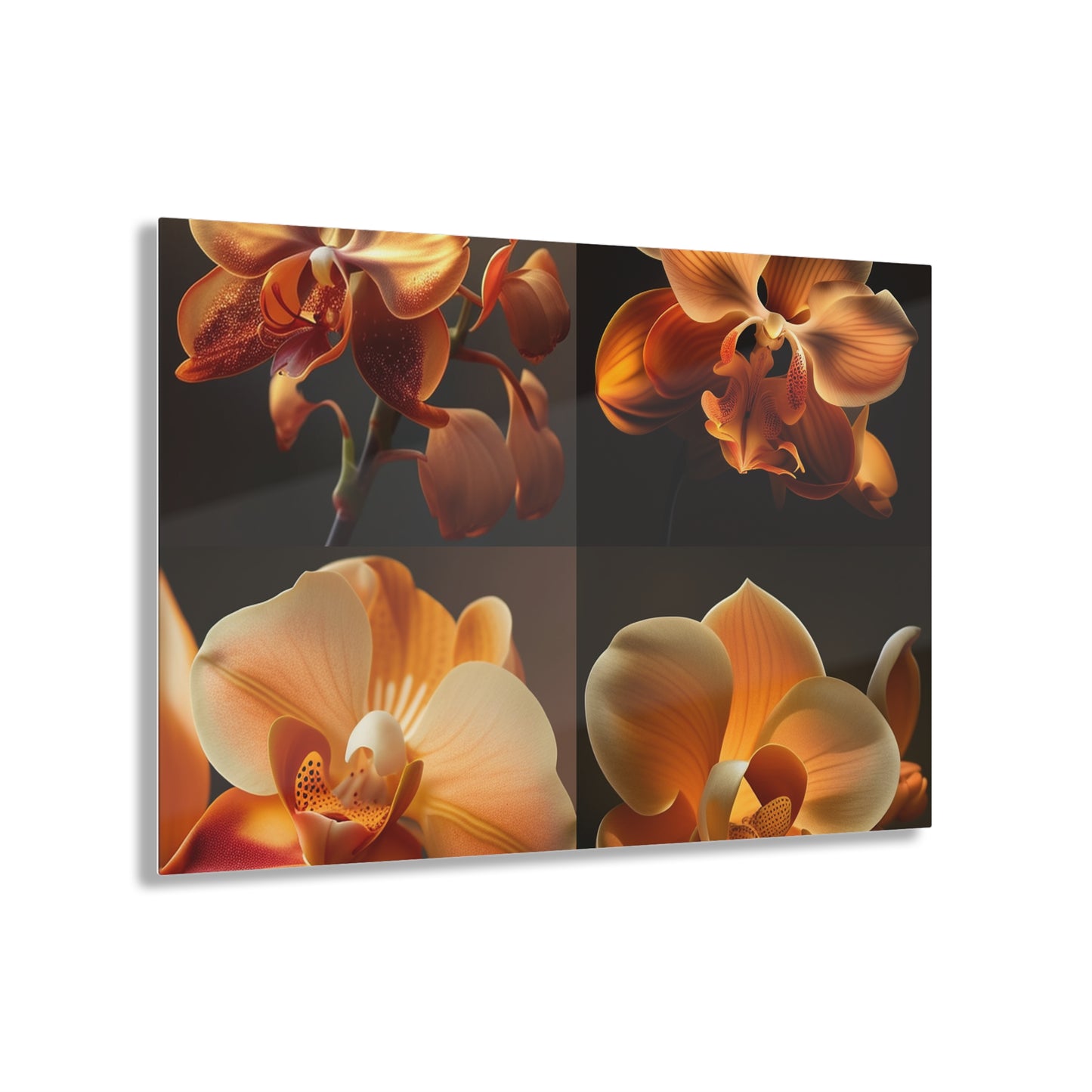 Acrylic Prints Orange Orchid 5