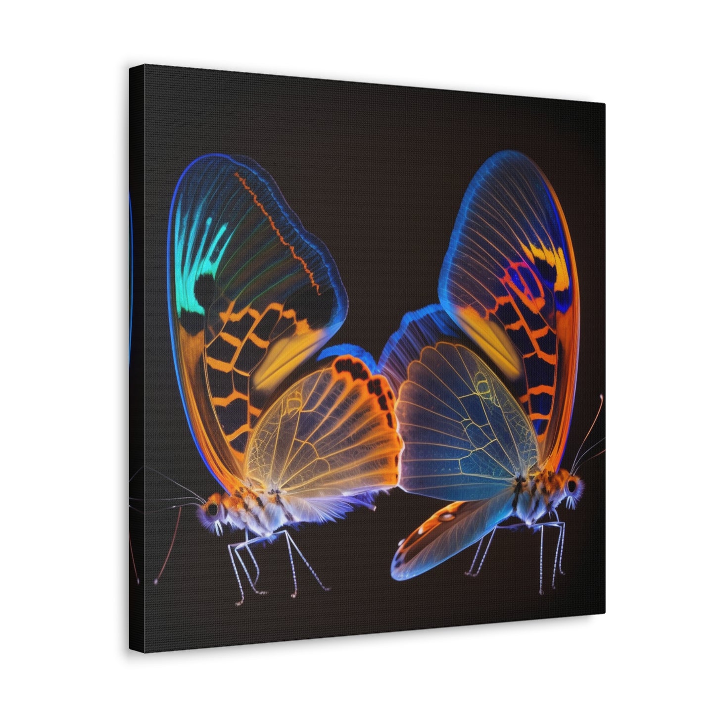 Canvas Gallery Wraps Neon Glo Butterfly 2