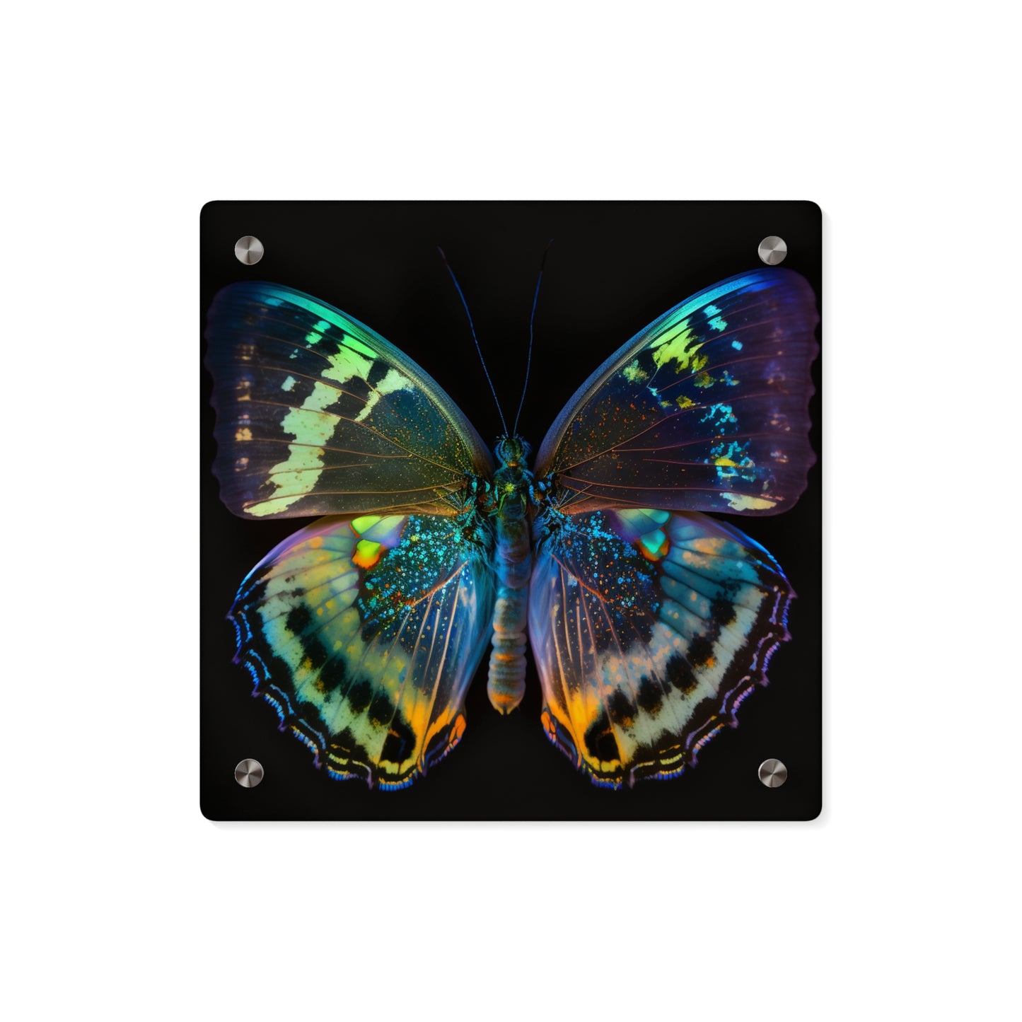 Acrylic Wall Art Panels Neon Butterfly Flair 4