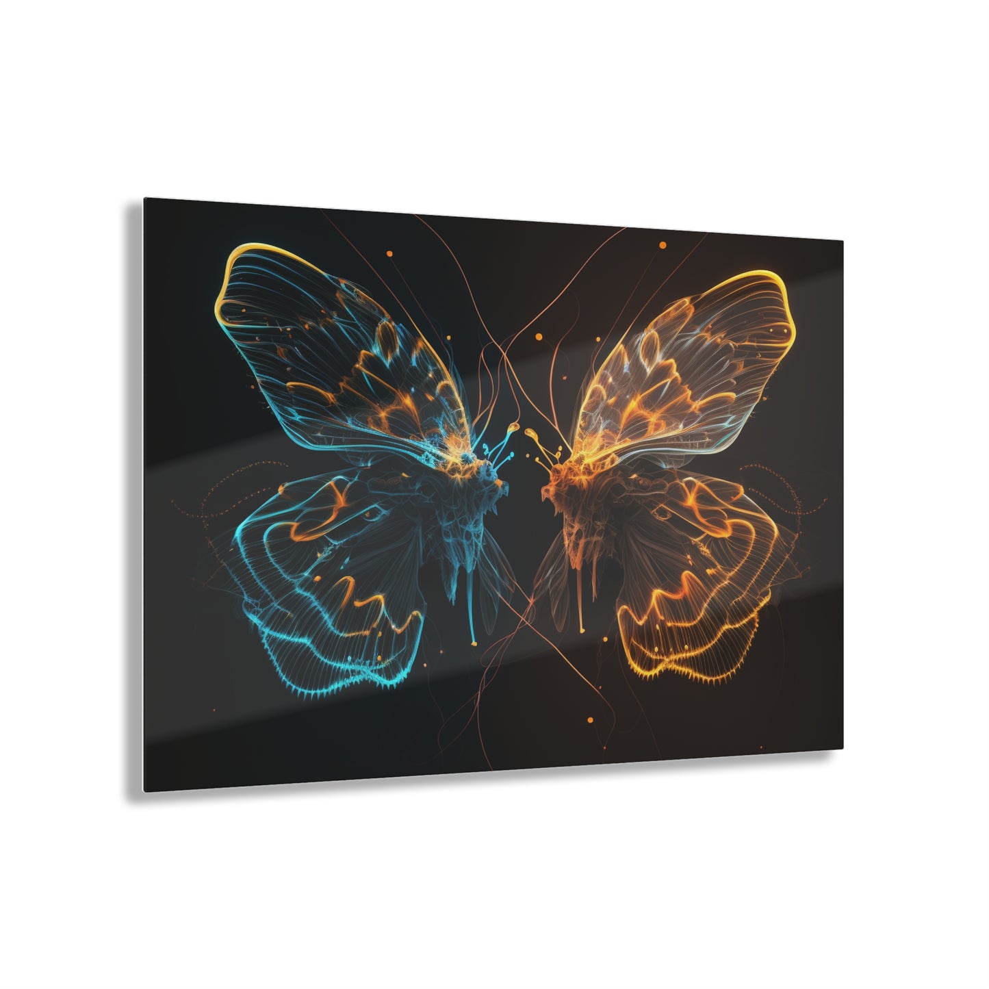 Acrylic Prints Neon Glo Butterfly 1