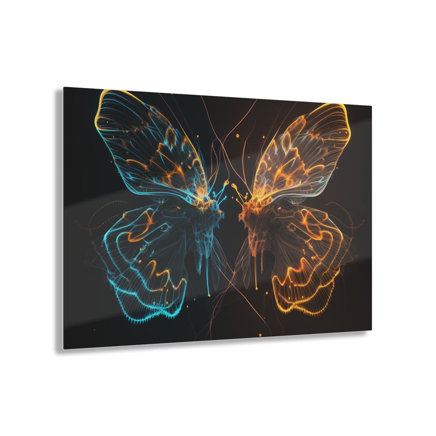 Acrylic Prints Neon Glo Butterfly 1