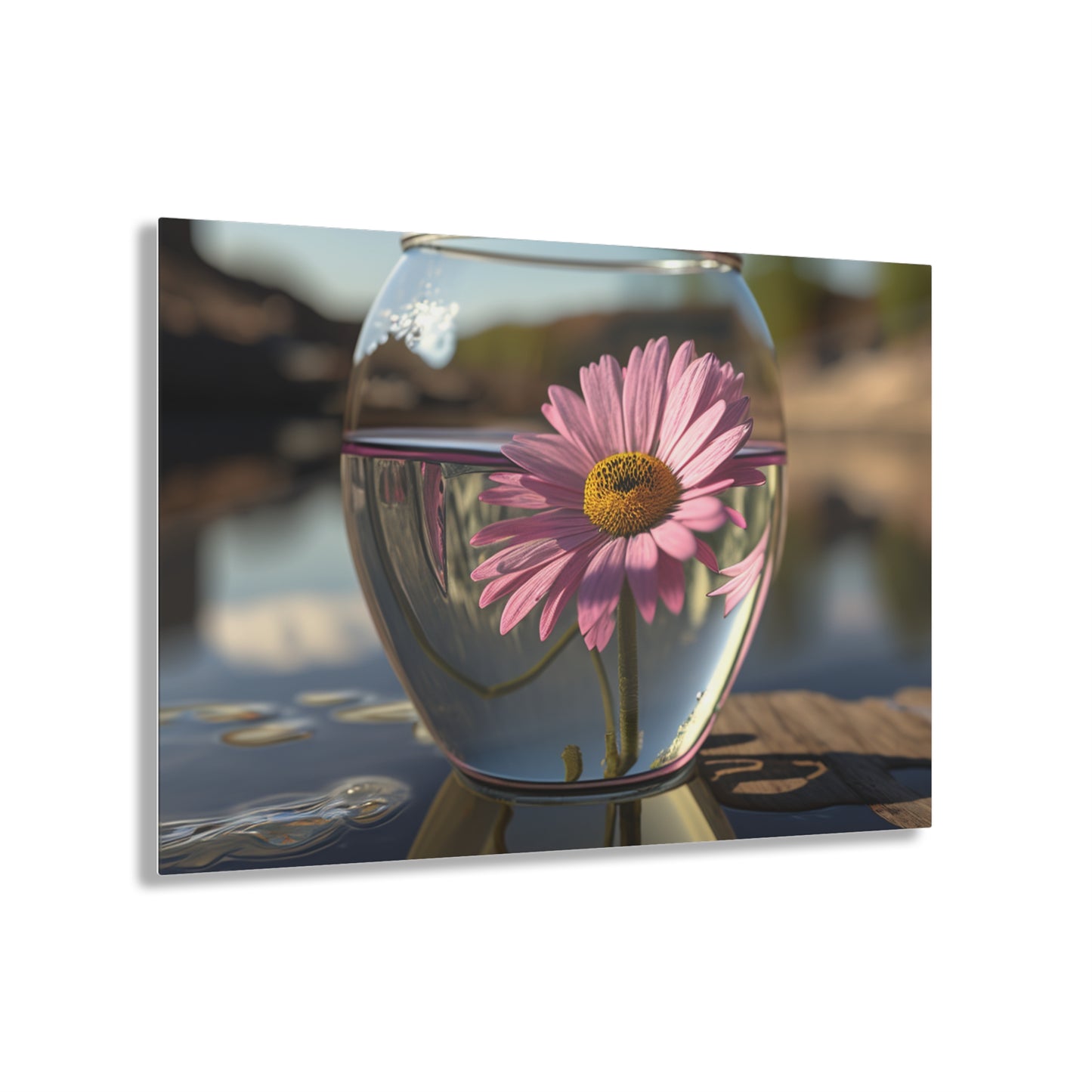 Acrylic Prints Daisy in a vase 1
