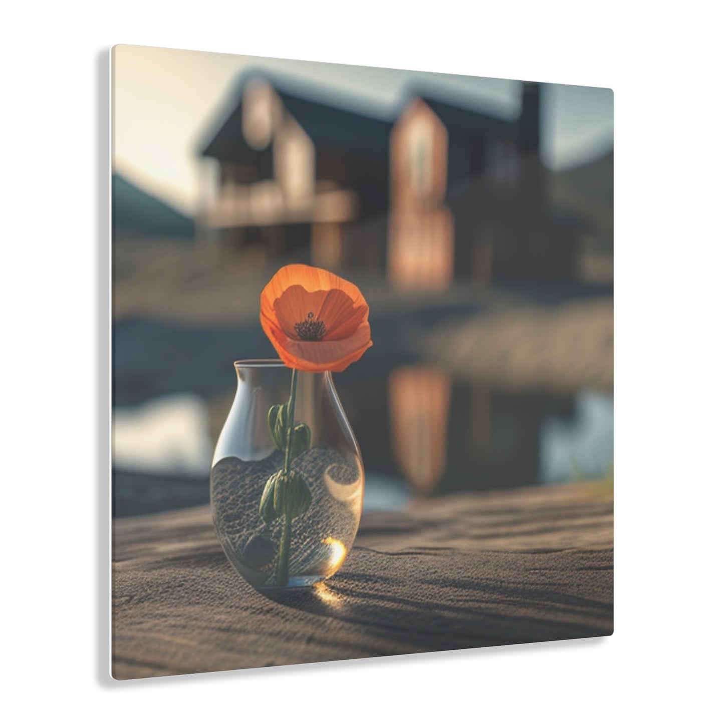 Acrylic Prints Orange Poppy in a Vase 4