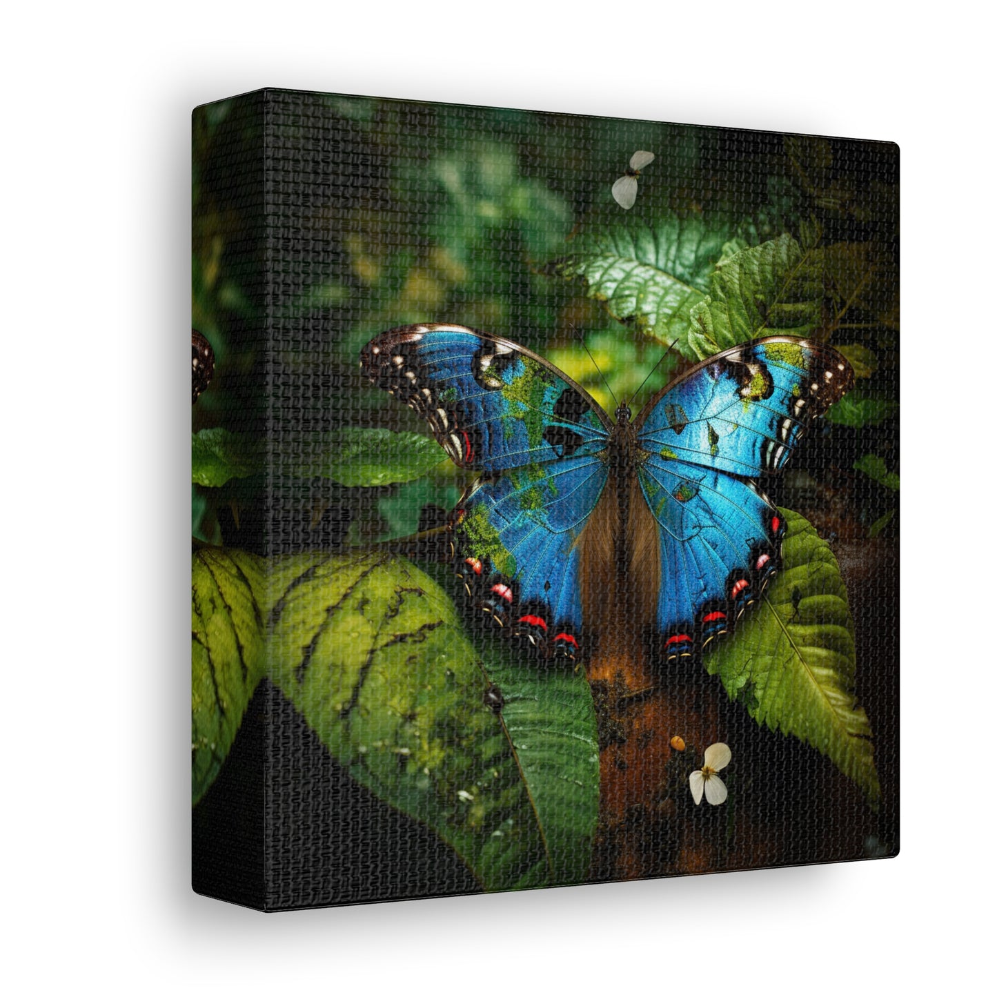 Canvas Gallery Wraps Jungle Butterfly 2