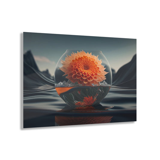 Acrylic Prints Dahlia Orange 3