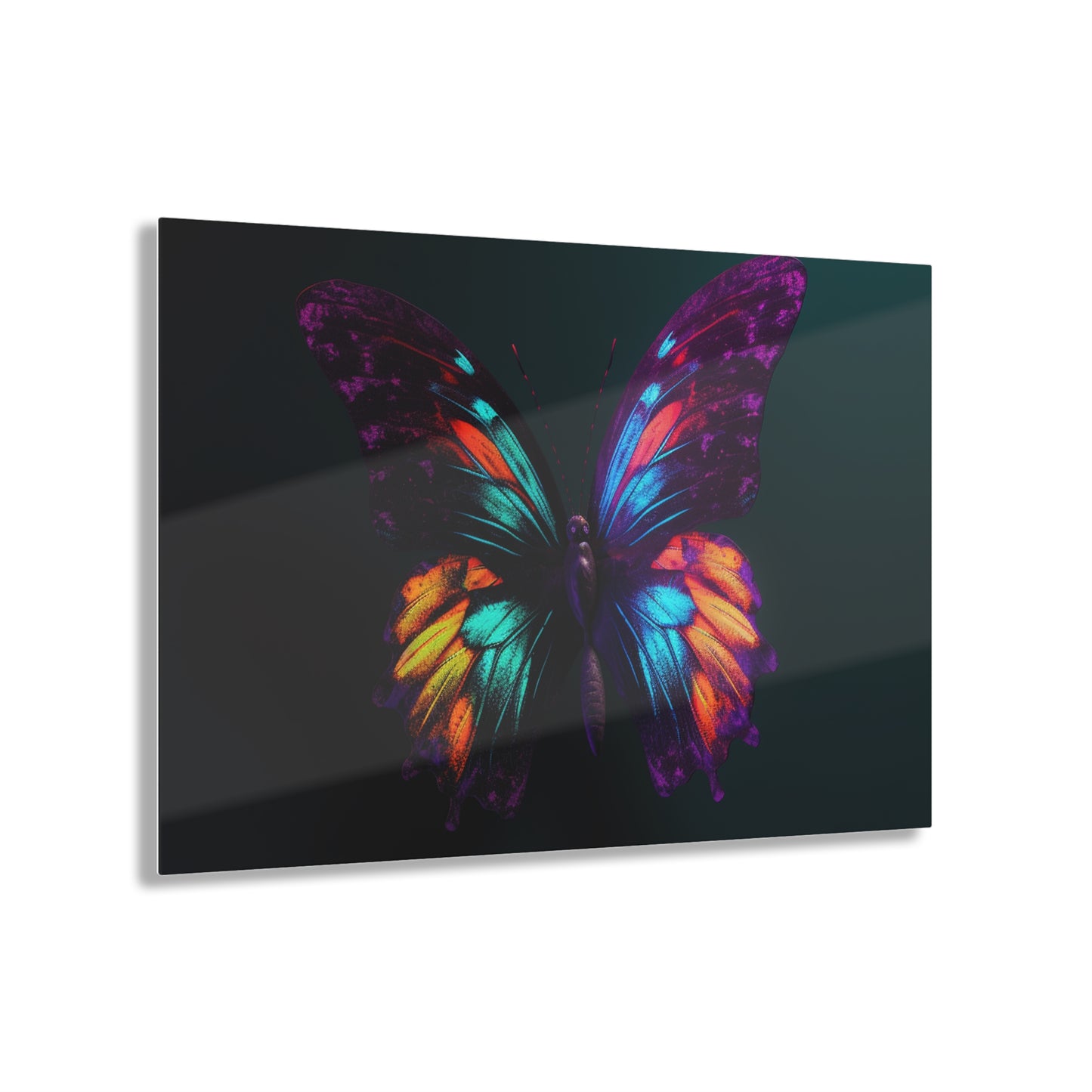 Acrylic Prints Hyper Colorful Butterfly Purple 1