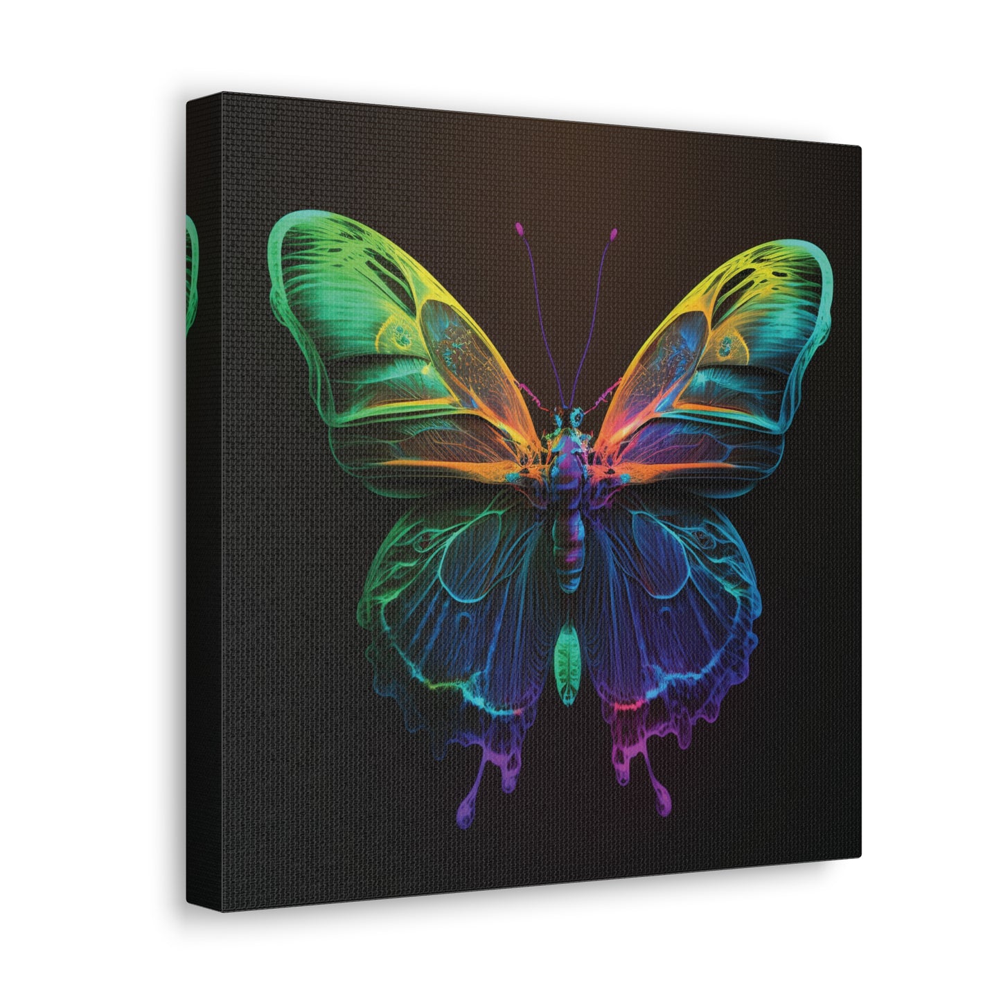 Canvas Gallery Wraps Raw Hyper Color Butterfly 3