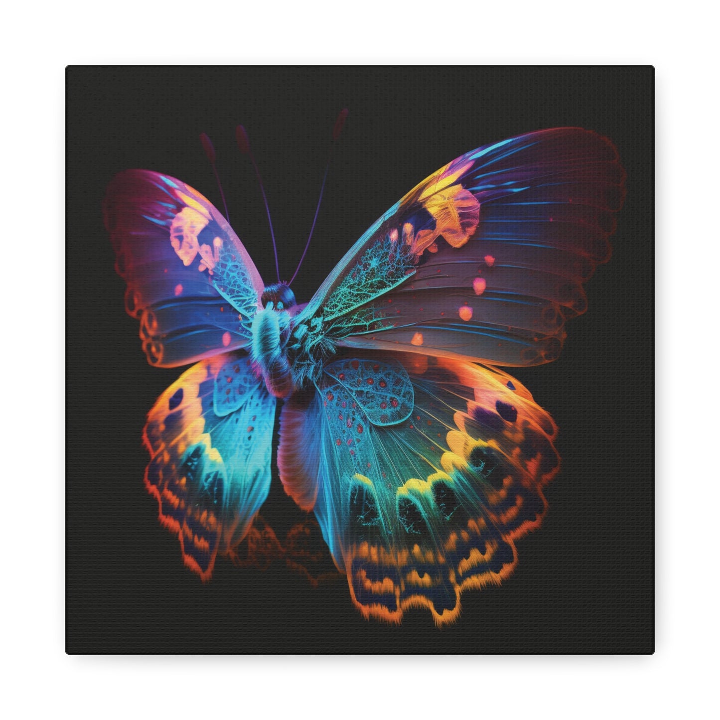 Canvas Gallery Wraps Raw Hyper Color Butterfly 4