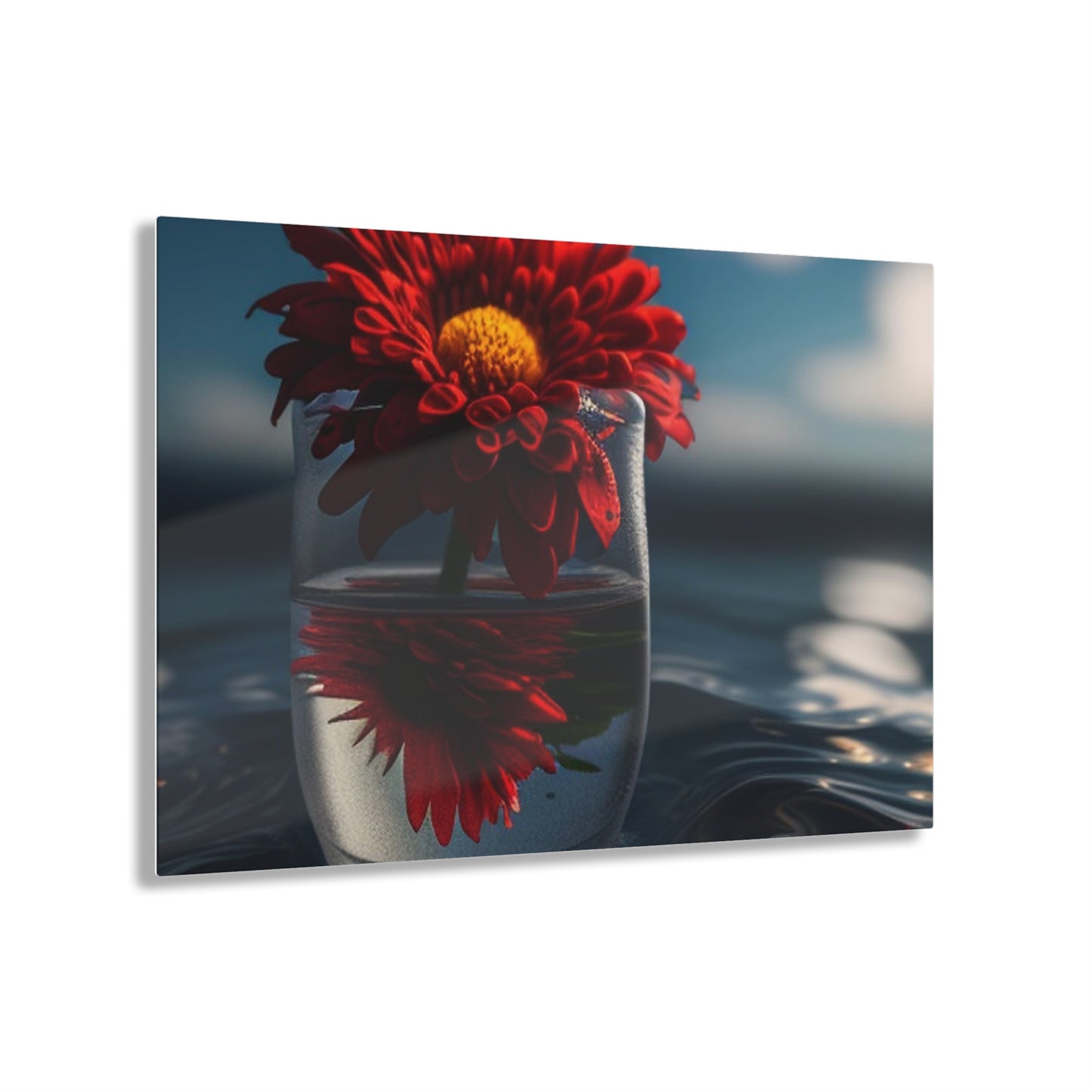 Acrylic Prints Chrysanthemum 3