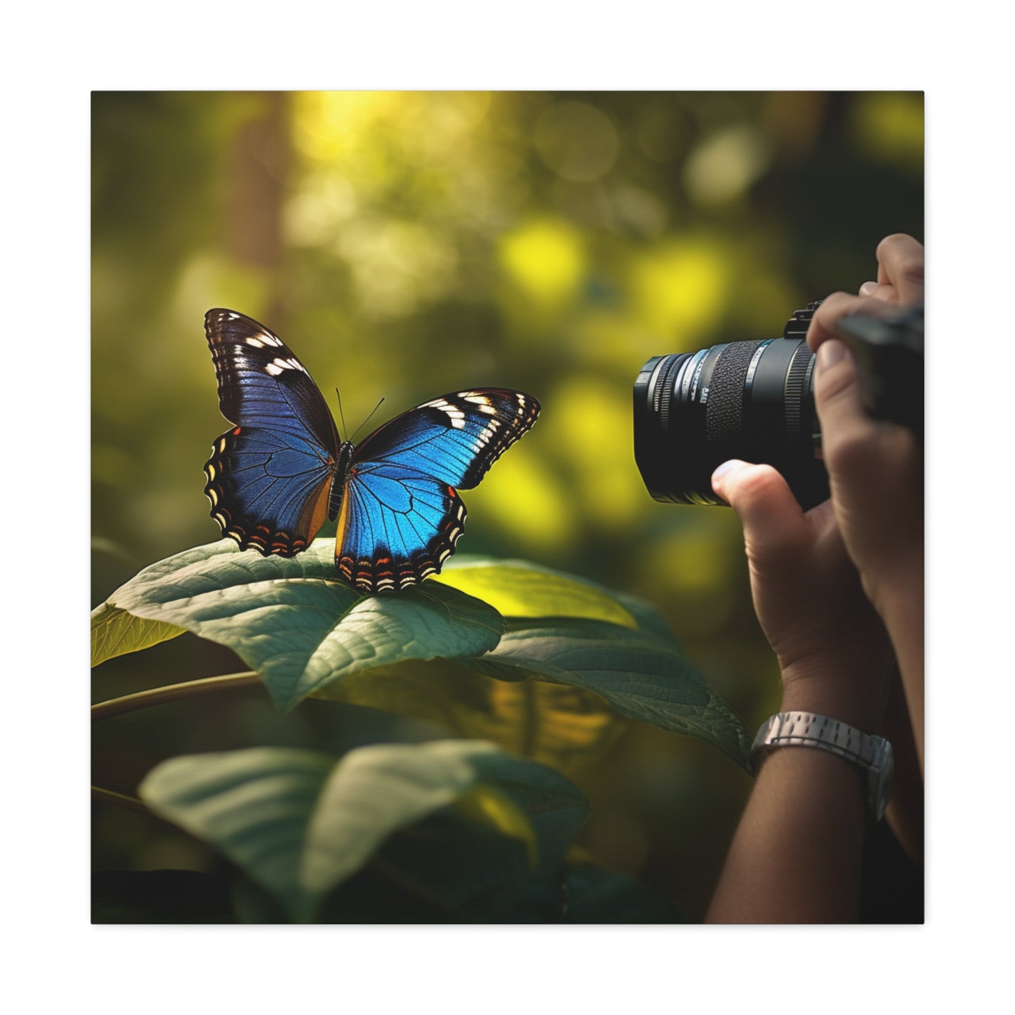 Canvas Gallery Wraps Jungle Butterfly 3