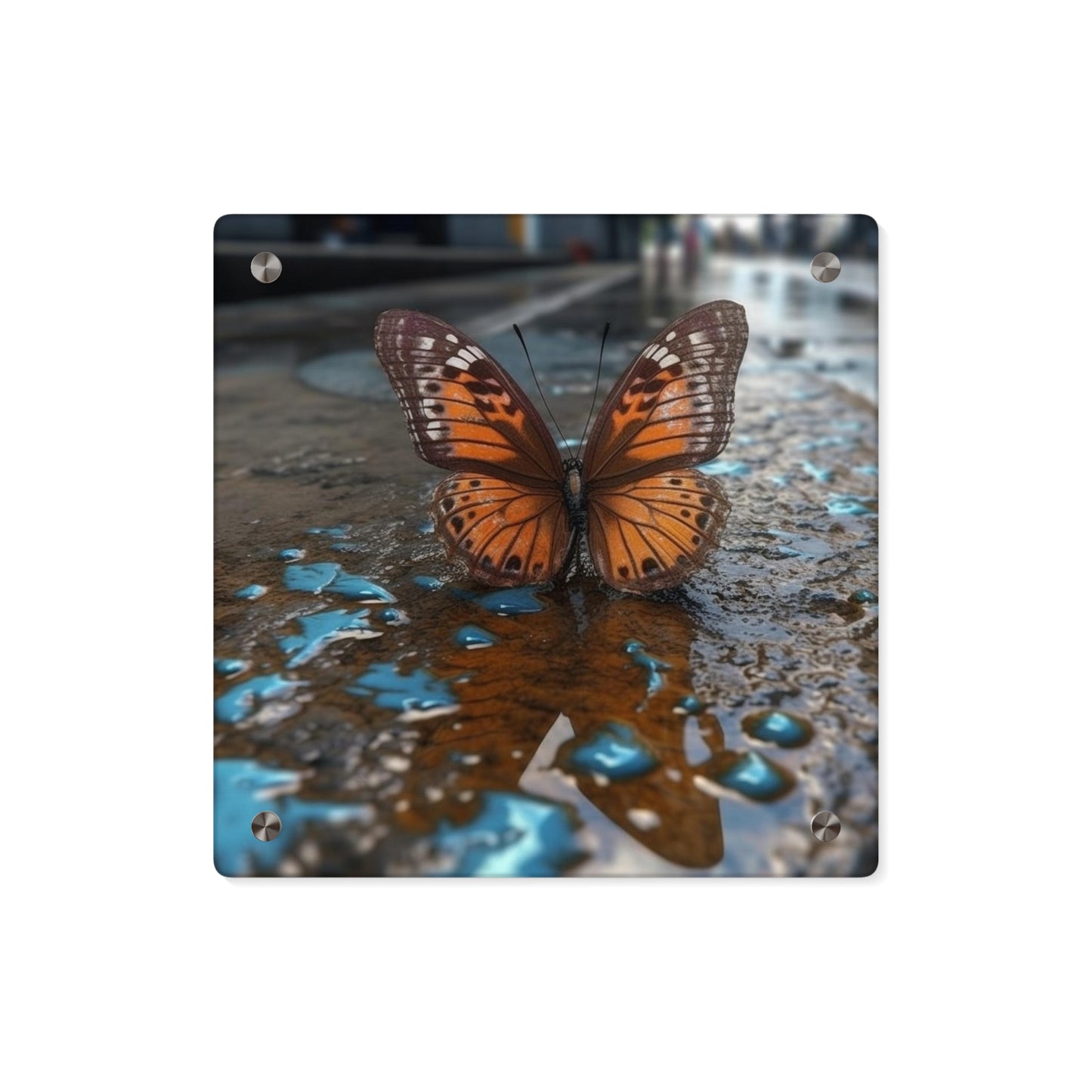 Acrylic Wall Art Panels Water Butterfly Street 2