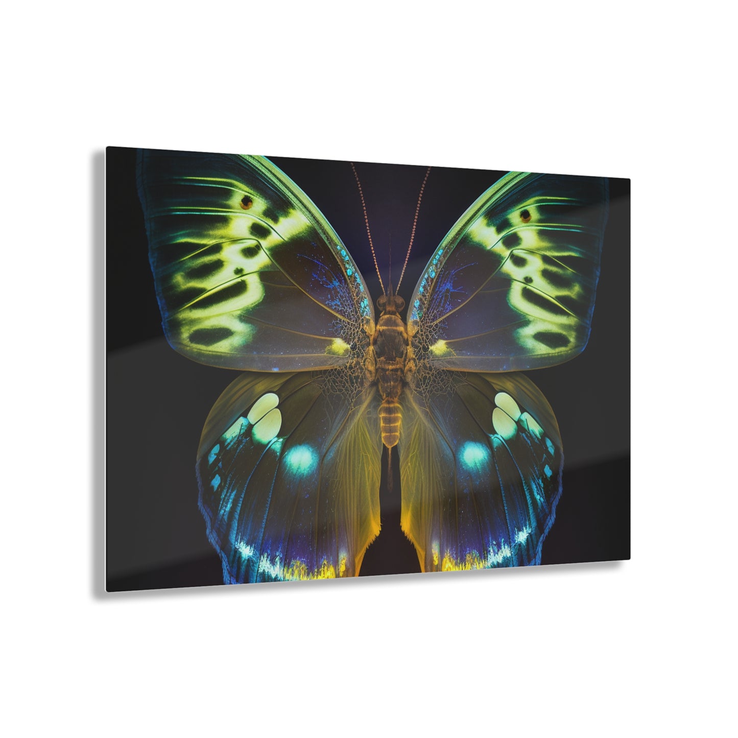 Acrylic Prints Neon Hue Butterfly 1