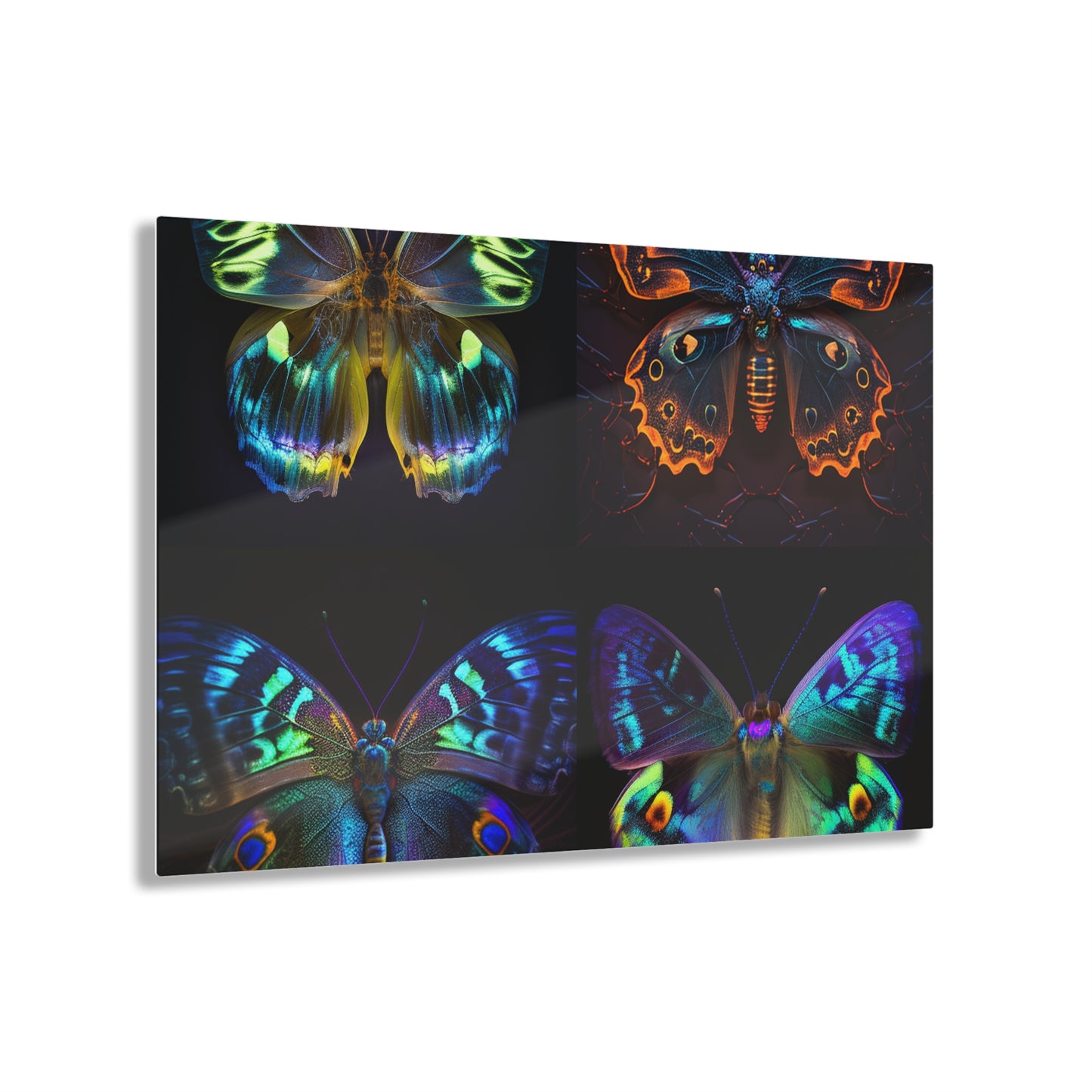 Acrylic Prints Neon Hue Butterfly 5