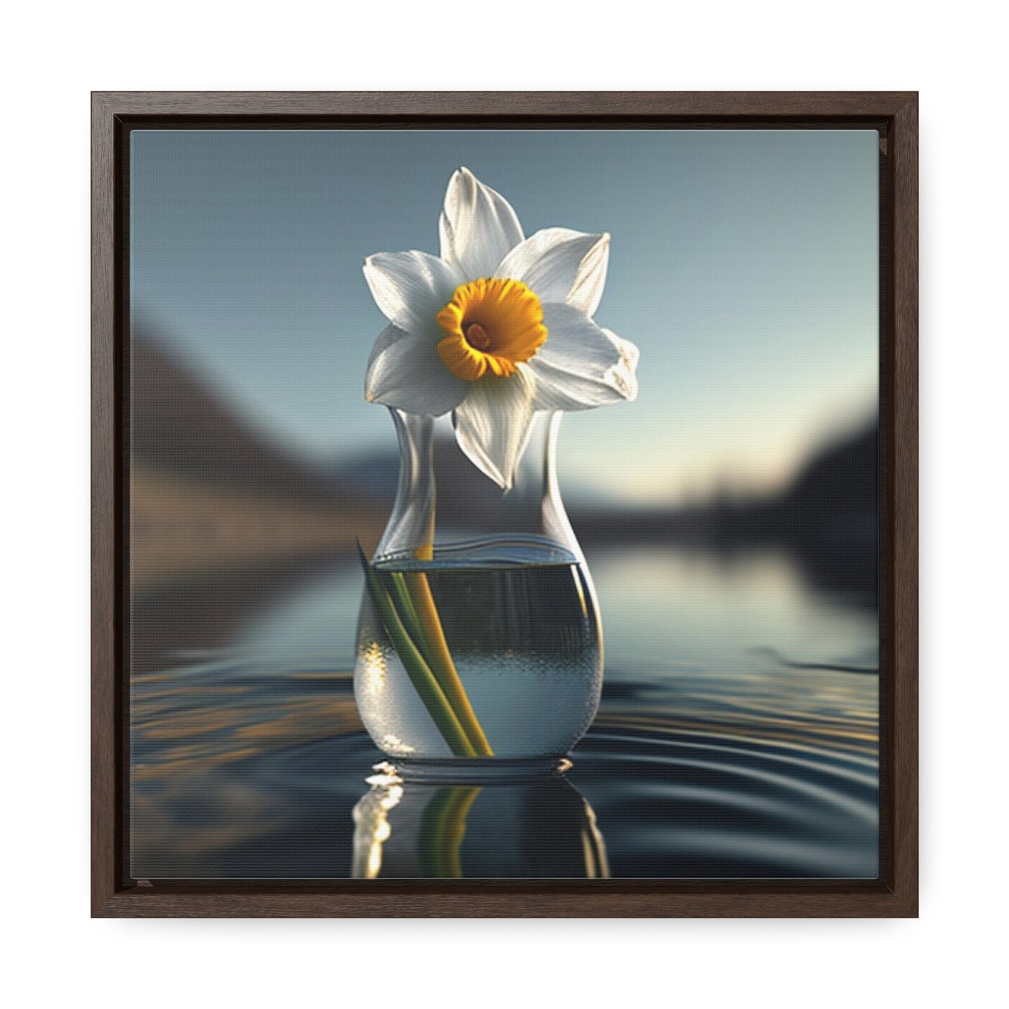 Gallery Canvas Wraps, Square Frame Daffodil 3