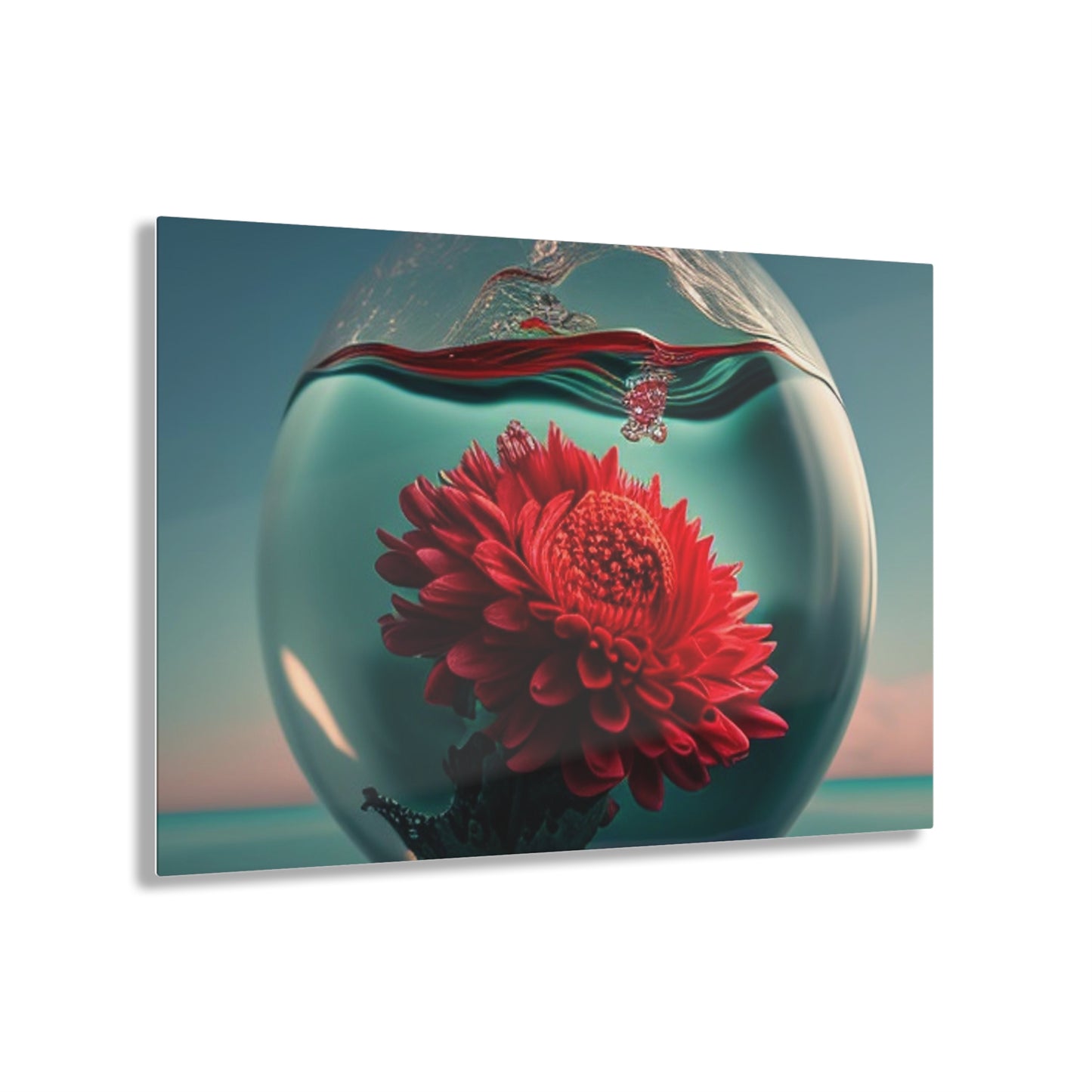 Acrylic Prints Chrysanthemum 4