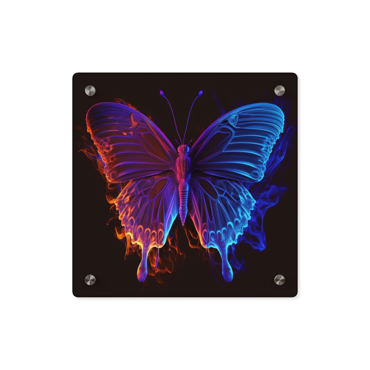 Acrylic Wall Art Panels Thermal Butterfly 1