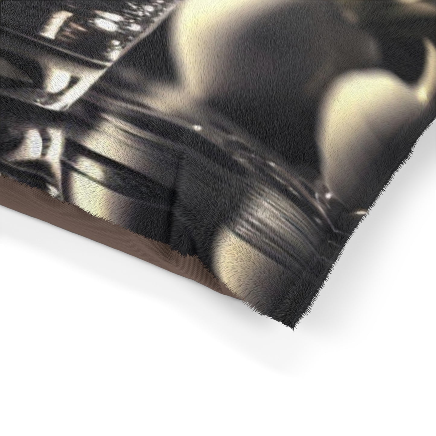 Pet Bed Purple Orchid Glass vase 4