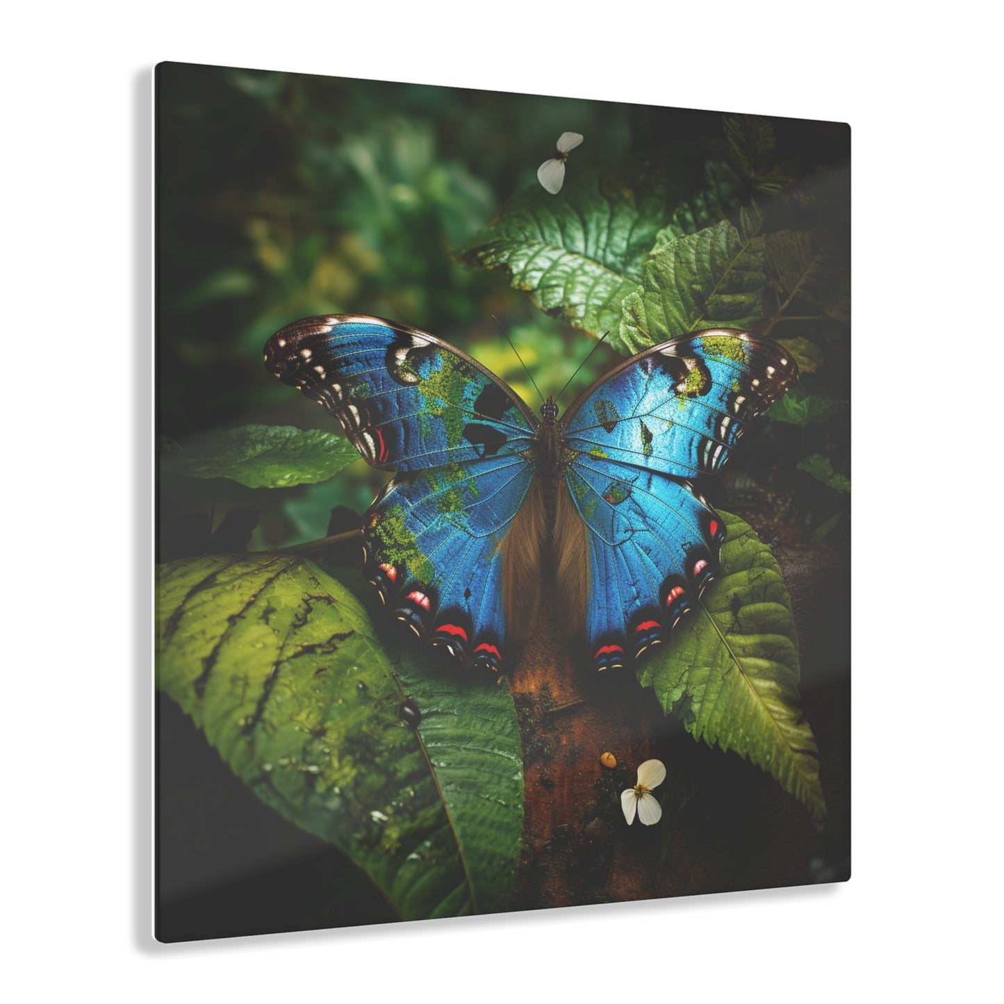 Acrylic Prints Jungle Butterfly 2