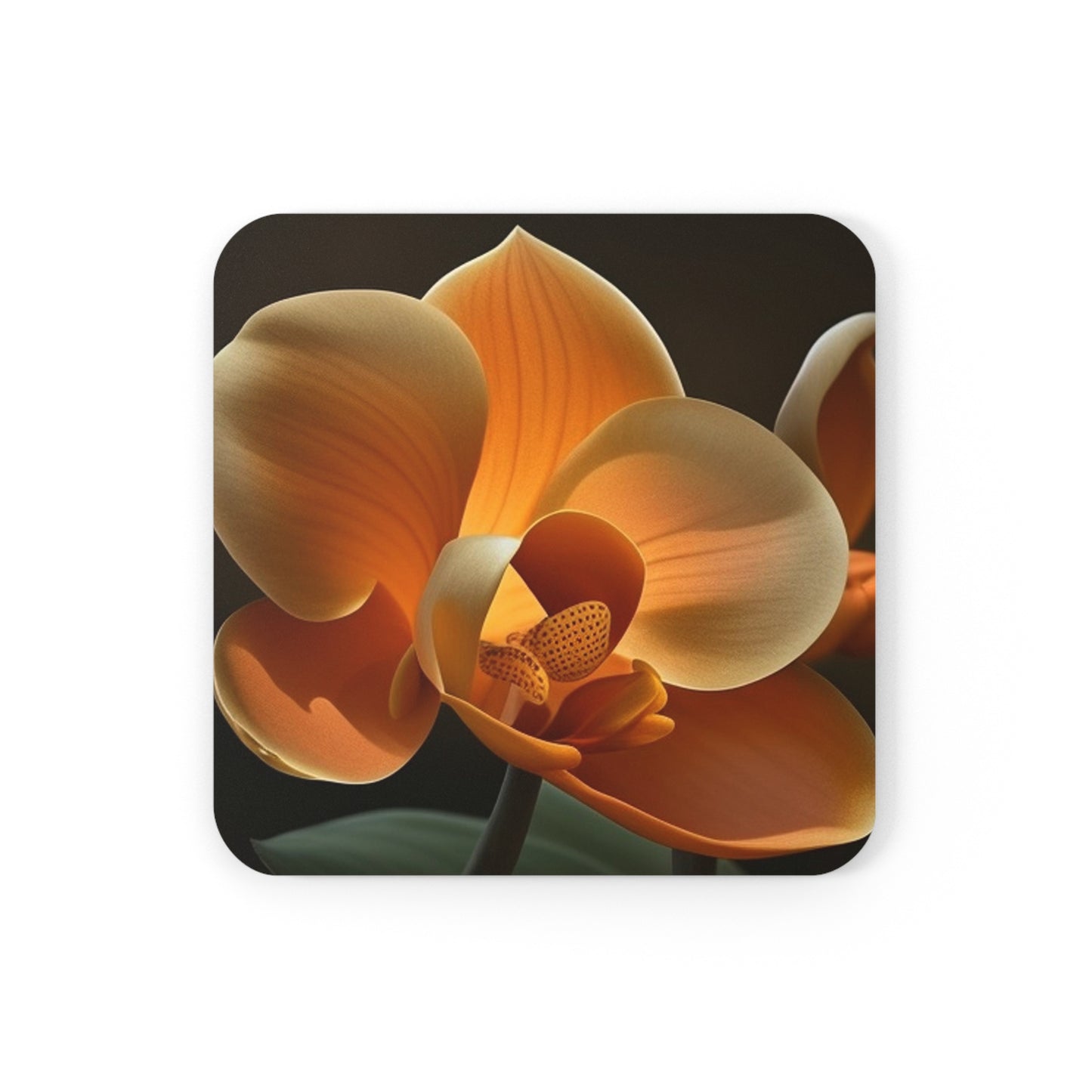 Corkwood Coaster Set Orange Orchid 4