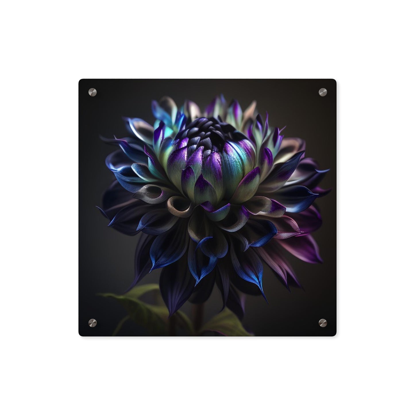 Acrylic Wall Art Panels Dahlia Purple 4