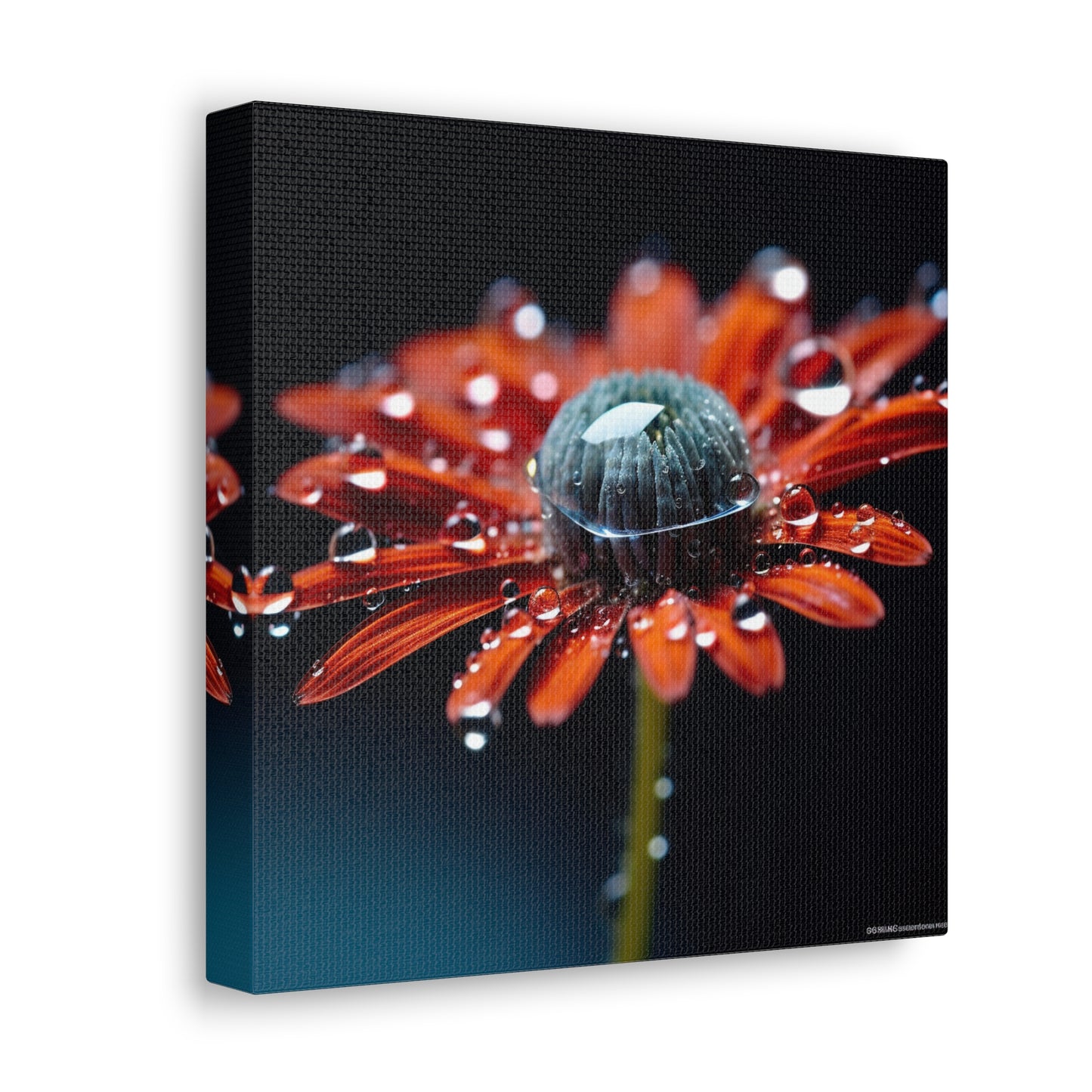 Canvas Gallery Wraps Water drop Macro Flower 1