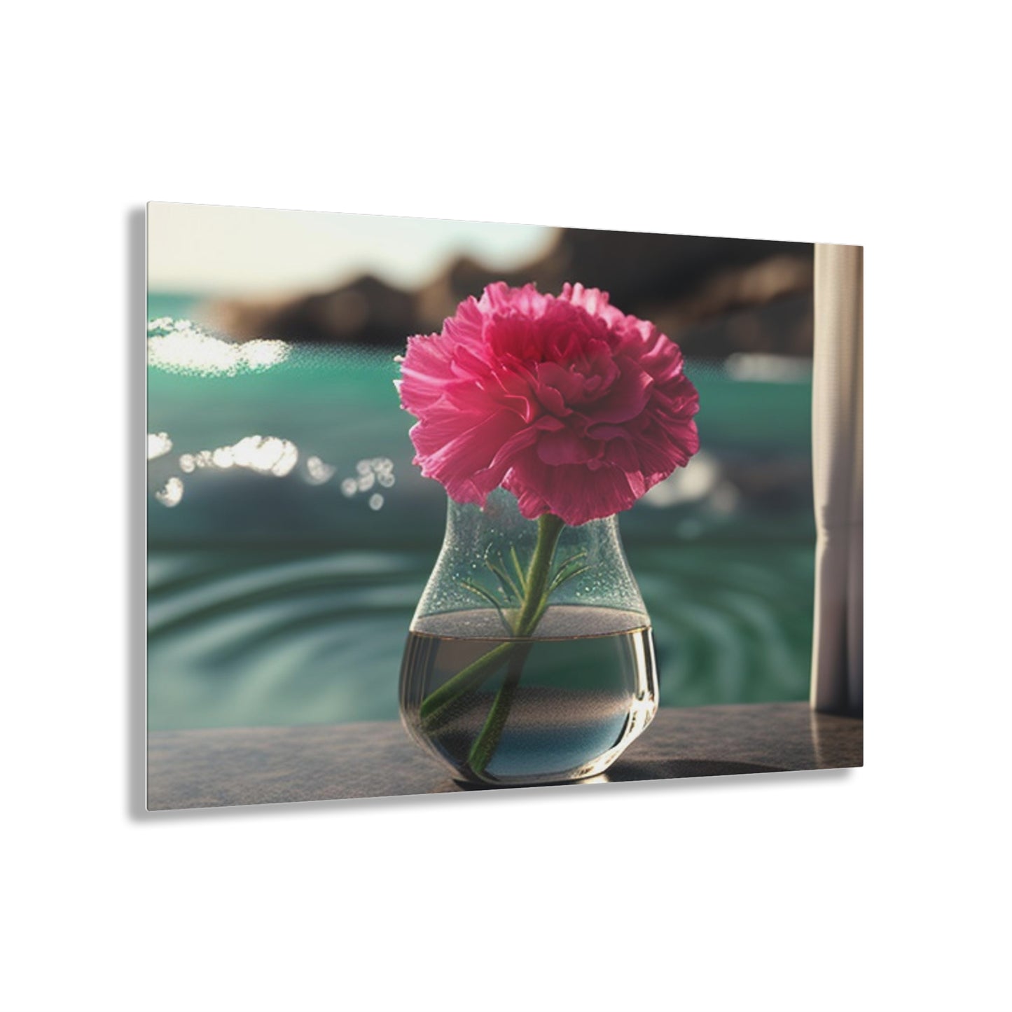 Acrylic Prints Carnation 4