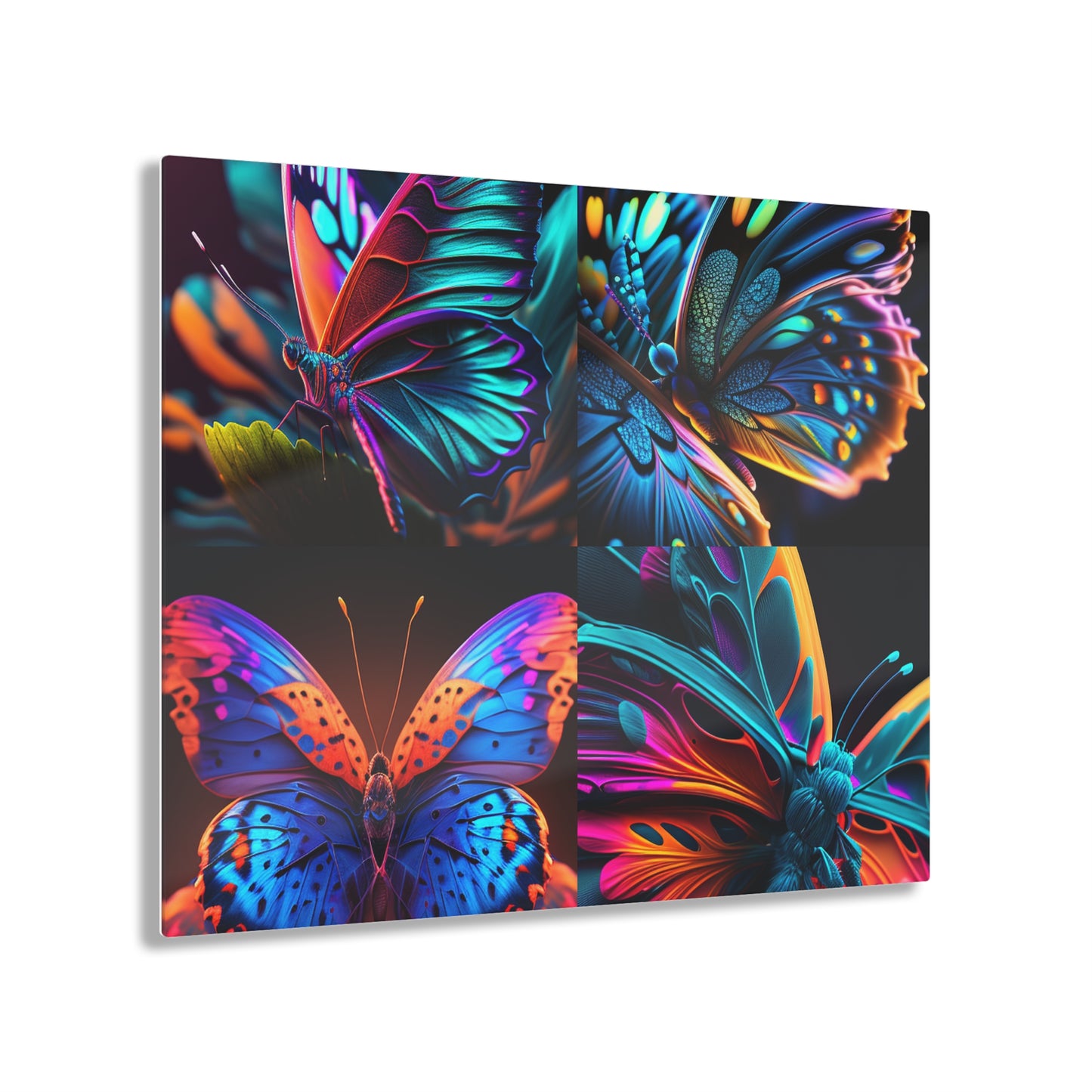 Acrylic Prints Neon Butterfly Macro 5