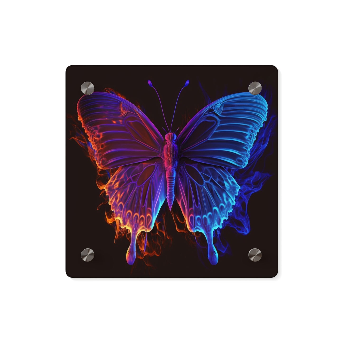 Acrylic Wall Art Panels Thermal Butterfly 1