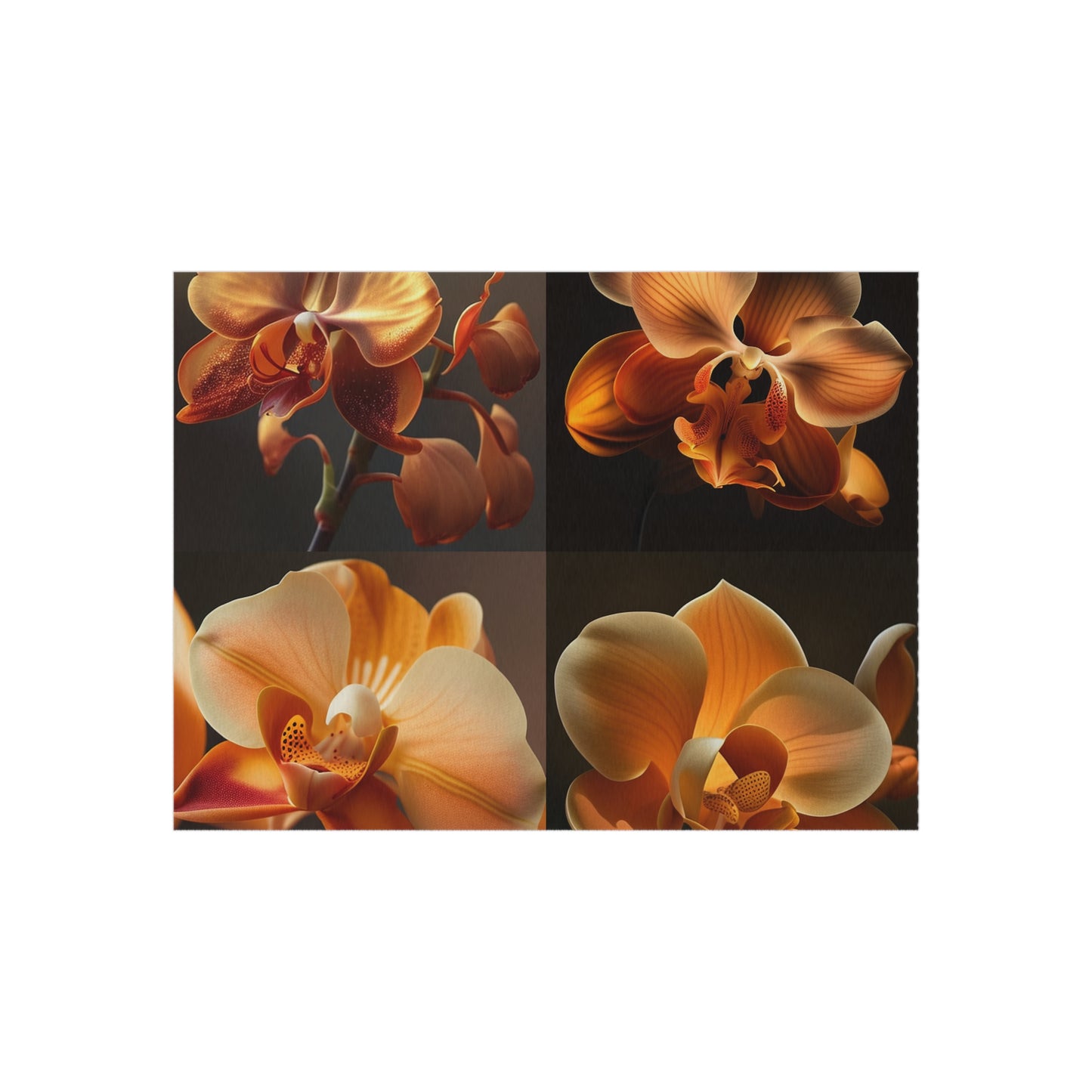 Outdoor Rug  Orange Orchid 5